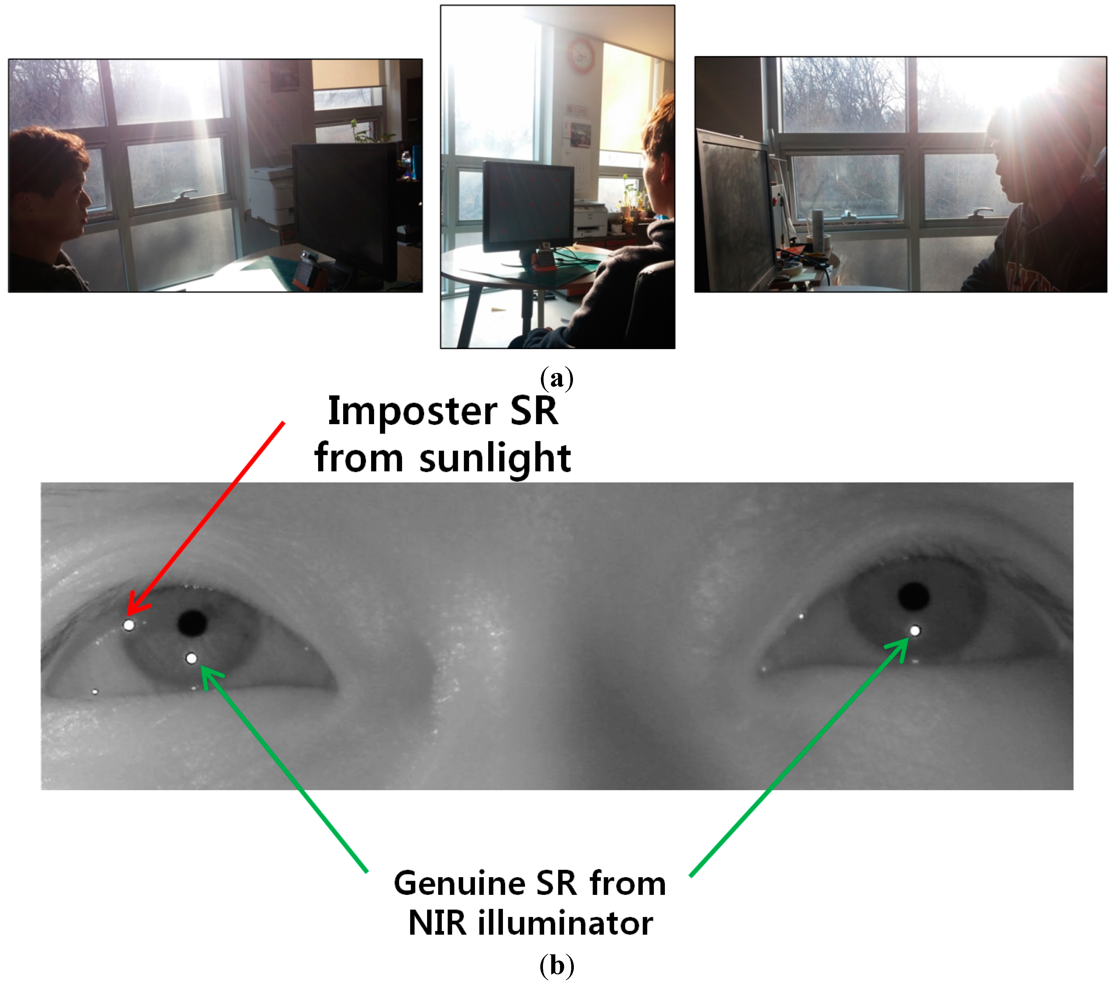 Sensors 15 05935 g027a 1024