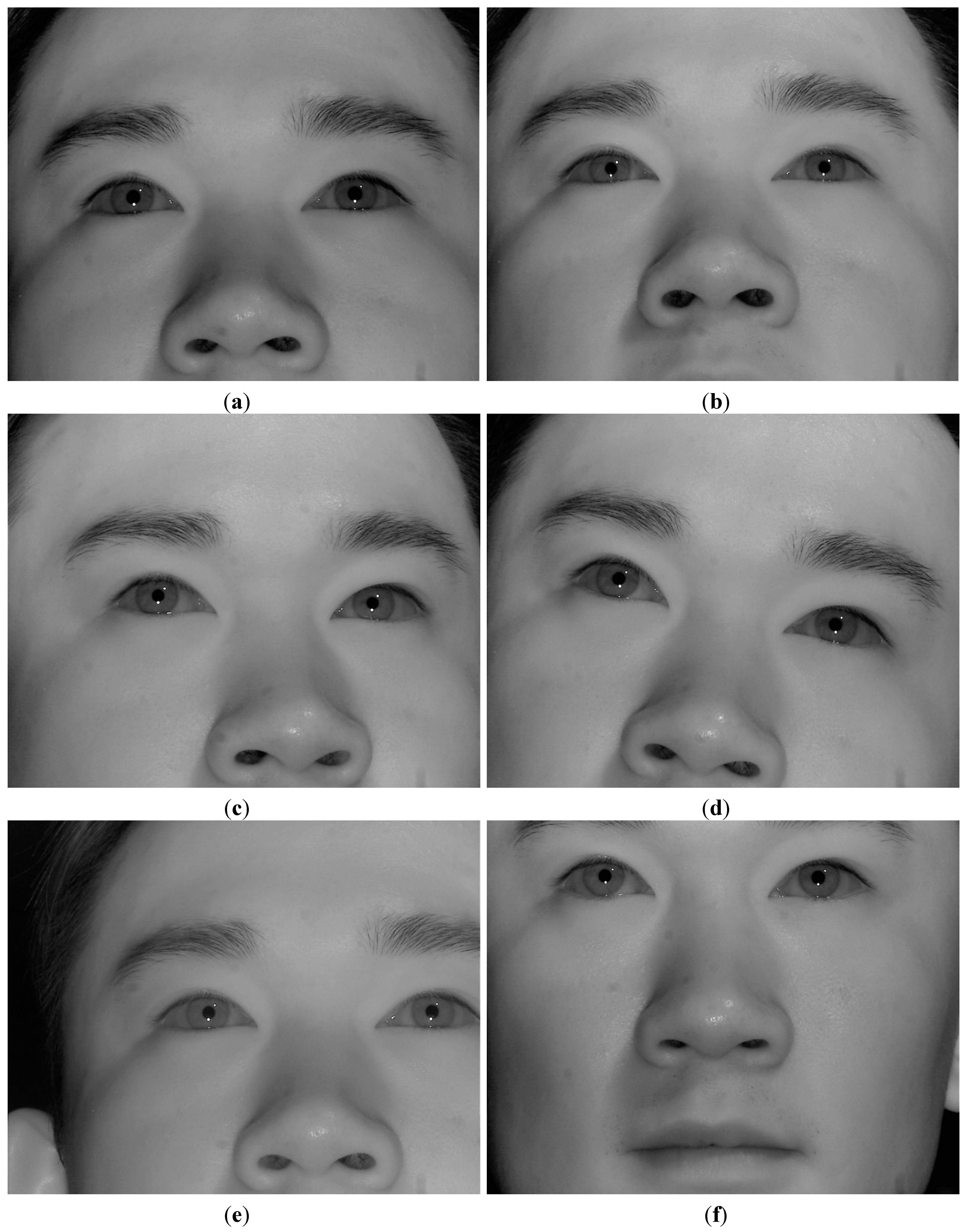 Sensors 15 05935 g033a 1024