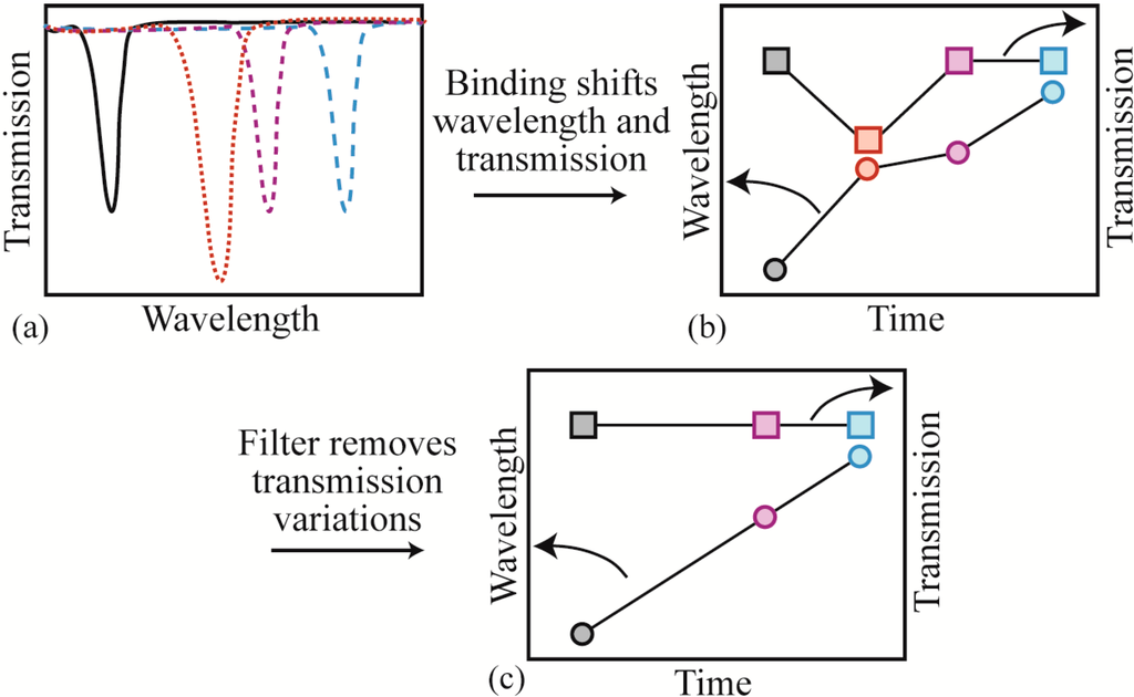 Sensors Free FullText LabelFree, Single Molecule Resonant Cavity