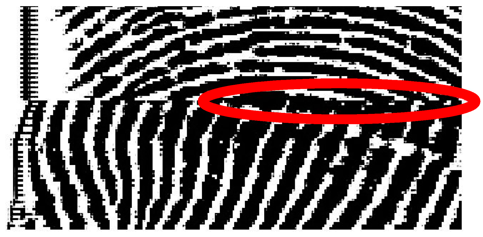 Sensors 15 07807 g004 1024