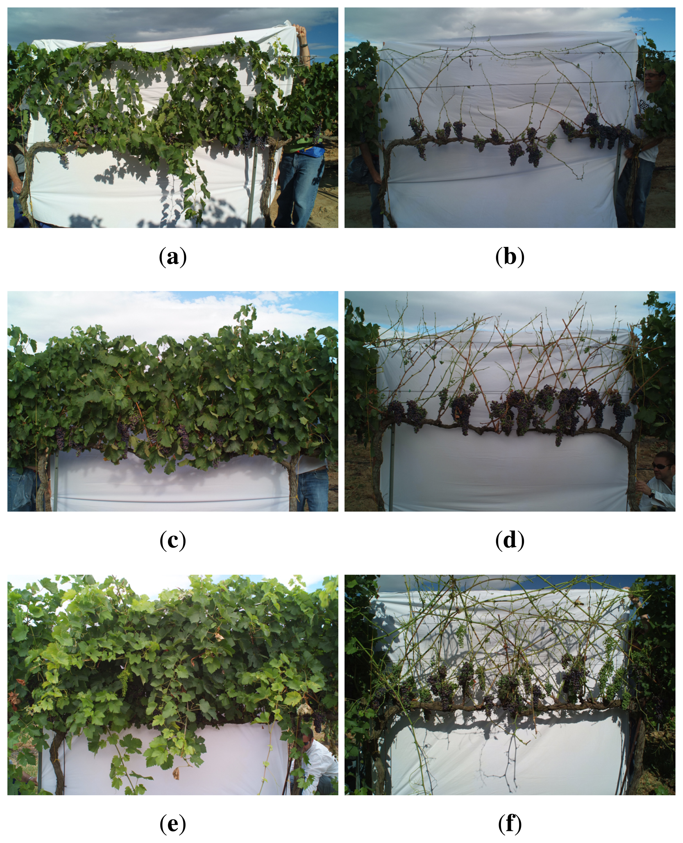 Sensors 15 08382f20 1024