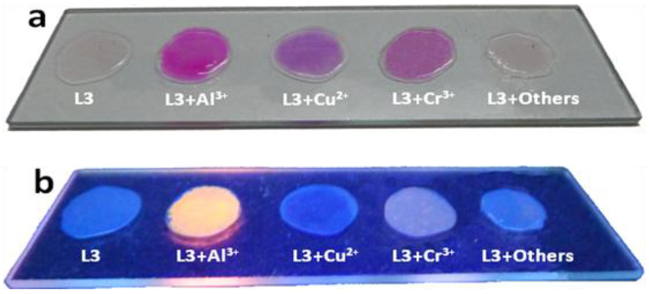 Sensors 15 09097 g011 1024