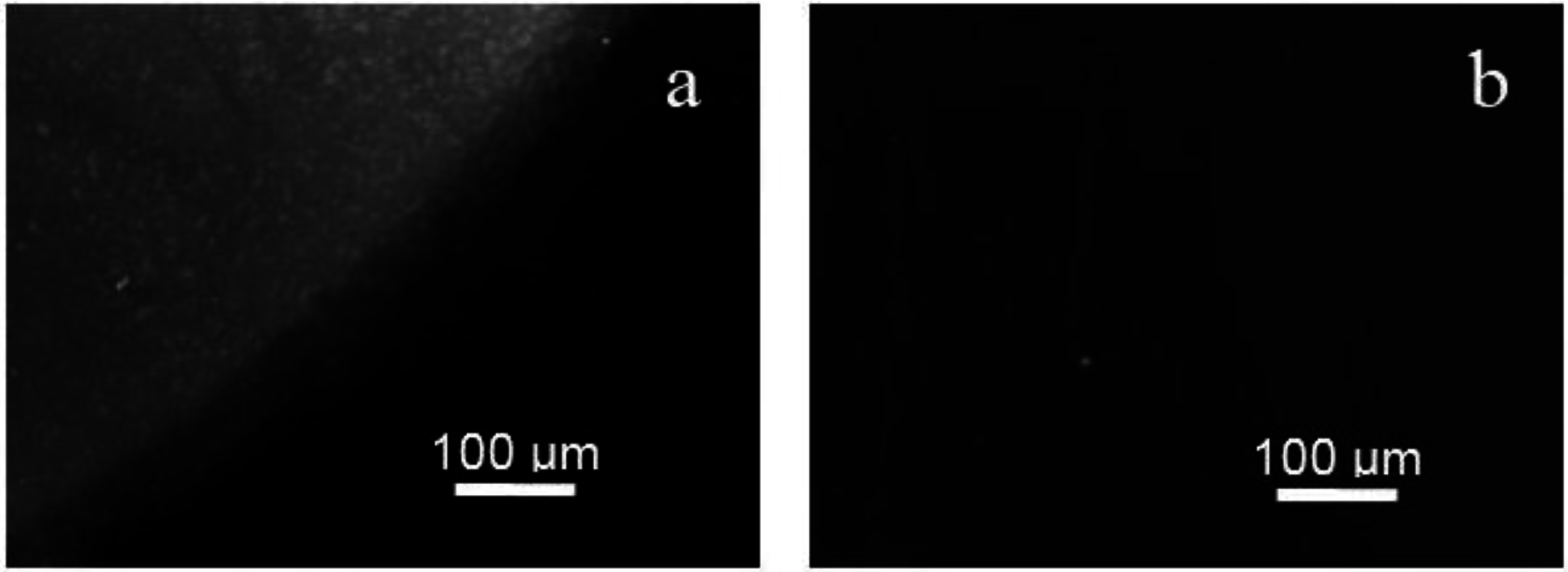 Sensors 15 10686 g002