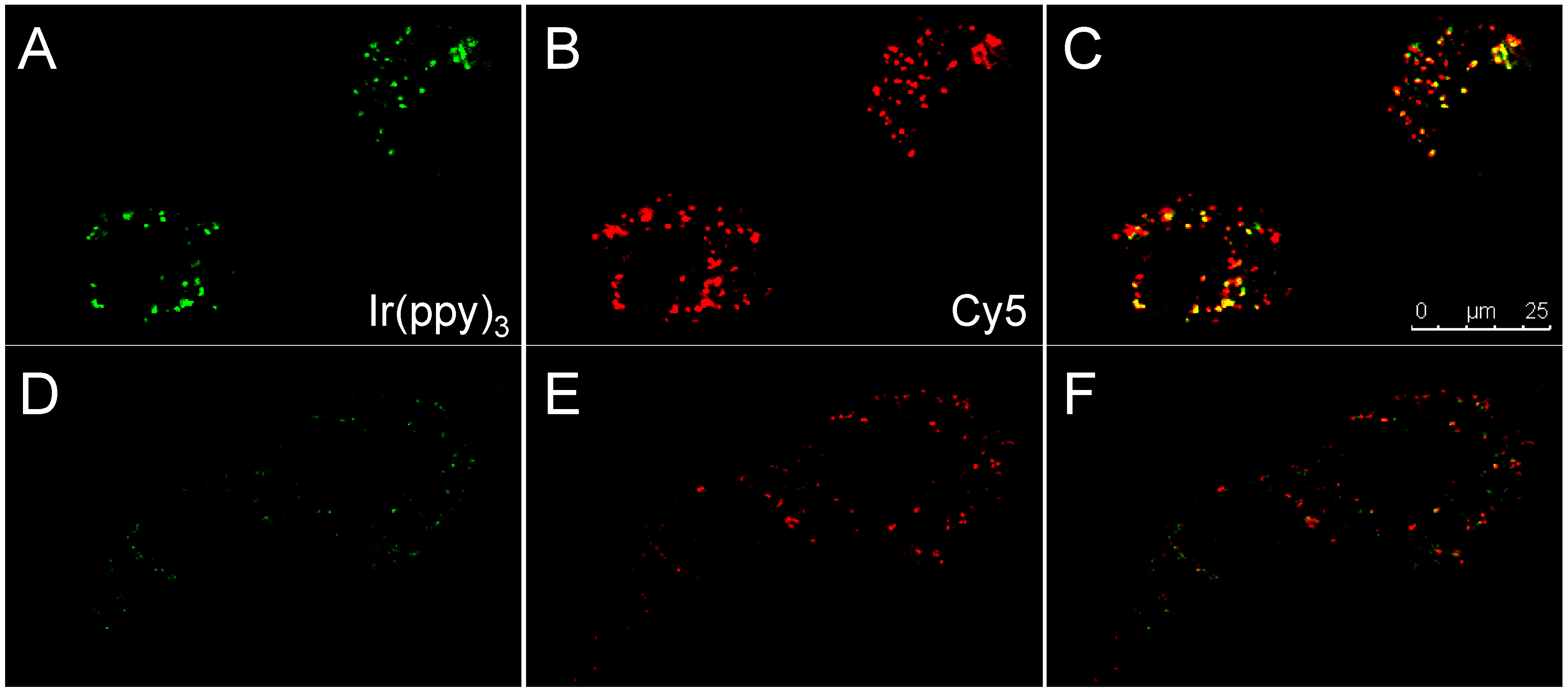 Sensors 15 11076 g005
