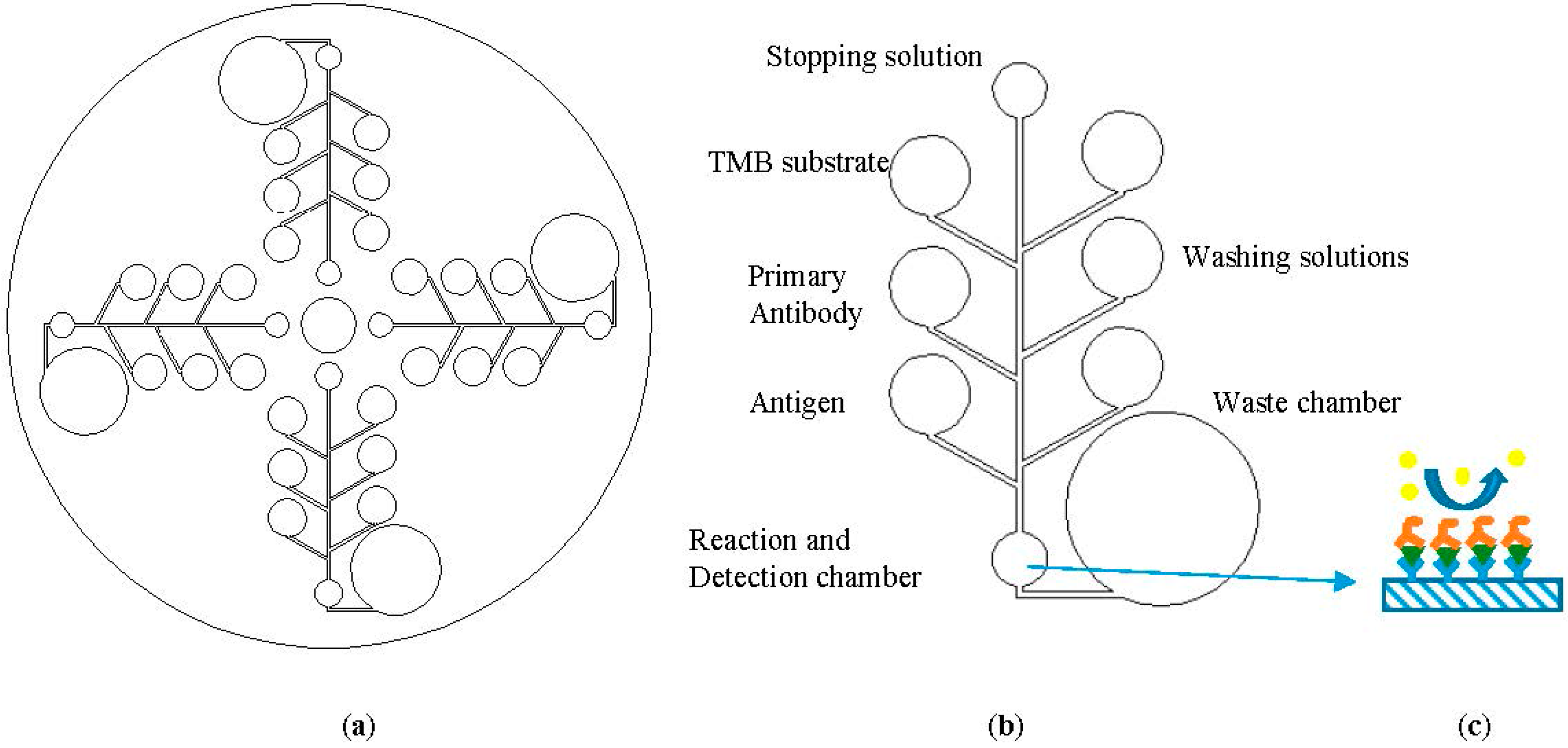 sensors free full text a colorimetric enzyme linked elisa lab