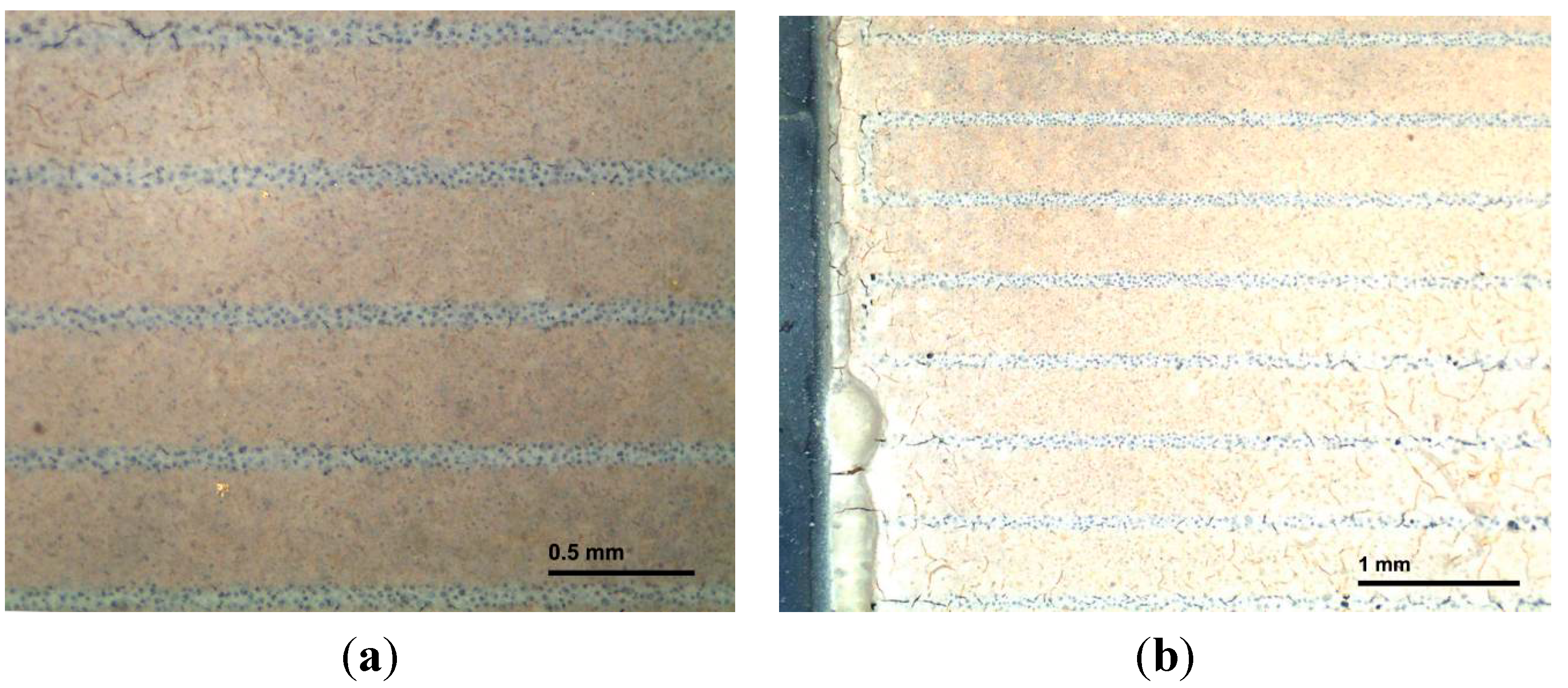 Sensors 15 11454 g009