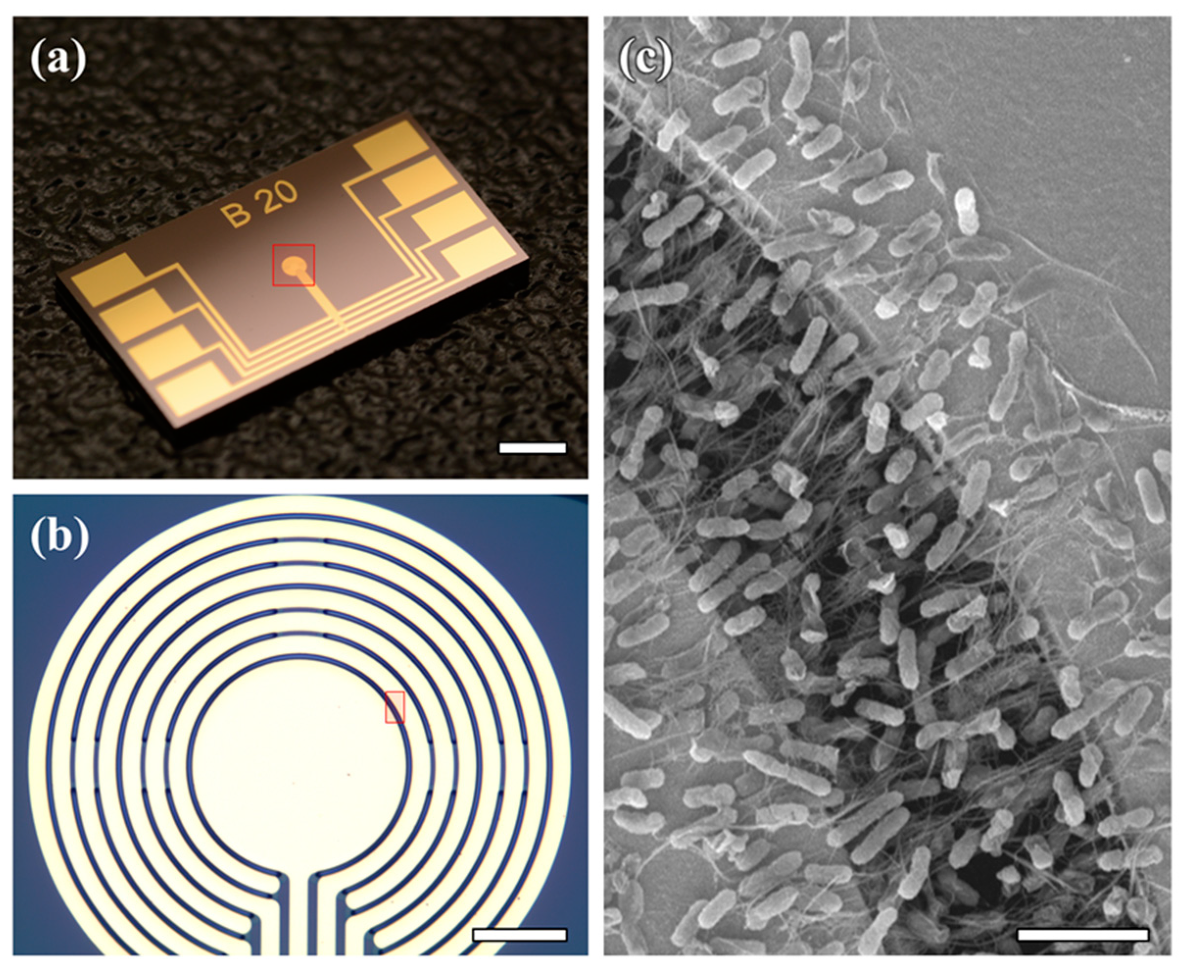 Sensors 15 12513 g003 1024