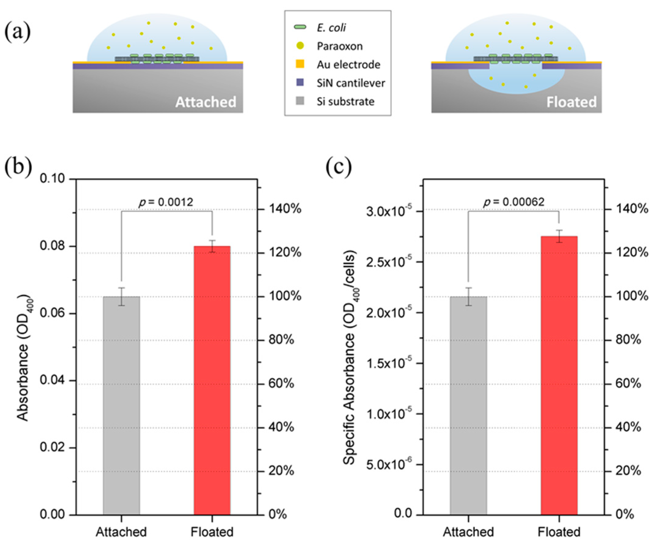 Sensors 15 12513 g004 1024
