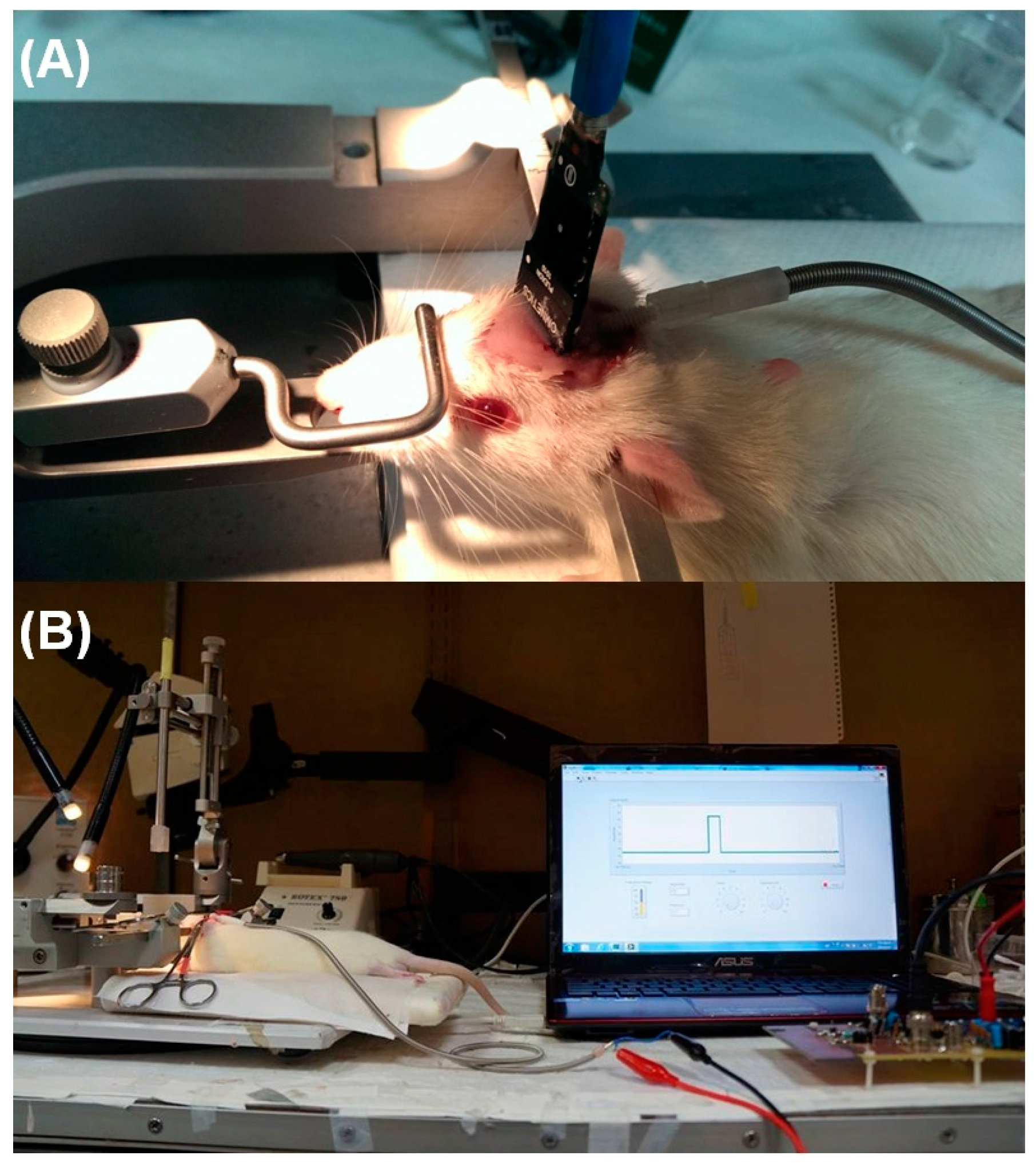 Sensors 15 12700 g012