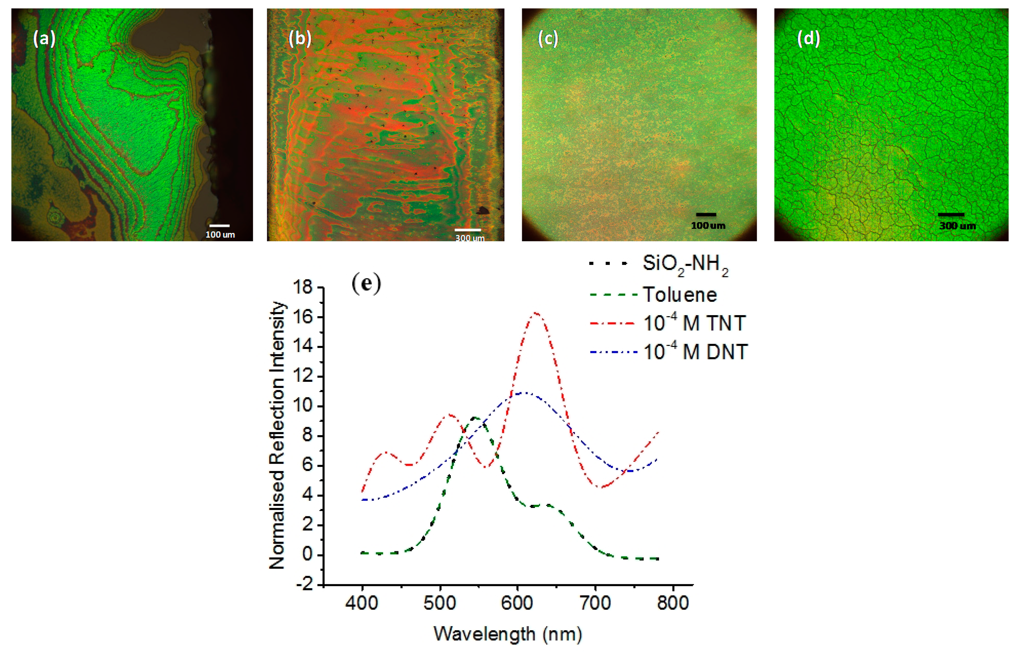 Sensors 15 12891 g003 1024