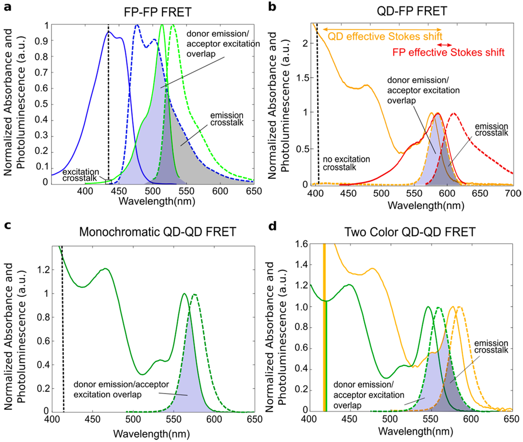 フィギュア Förster Resonance Energy Transfer between Quantum Dot Donors