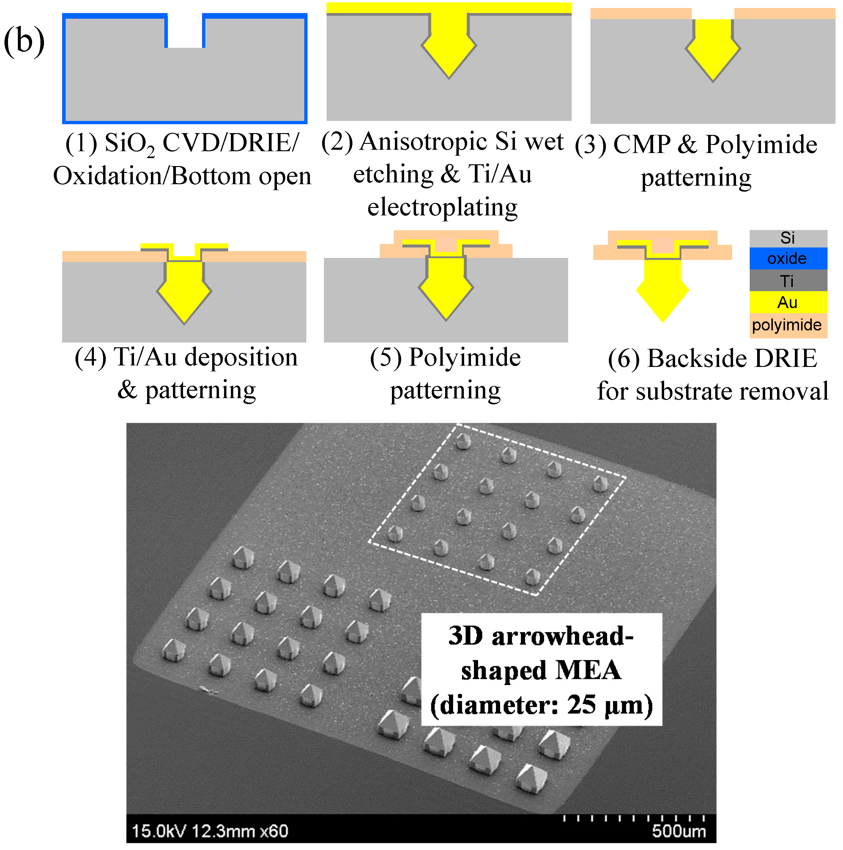 Sensors 15 14345 g001b