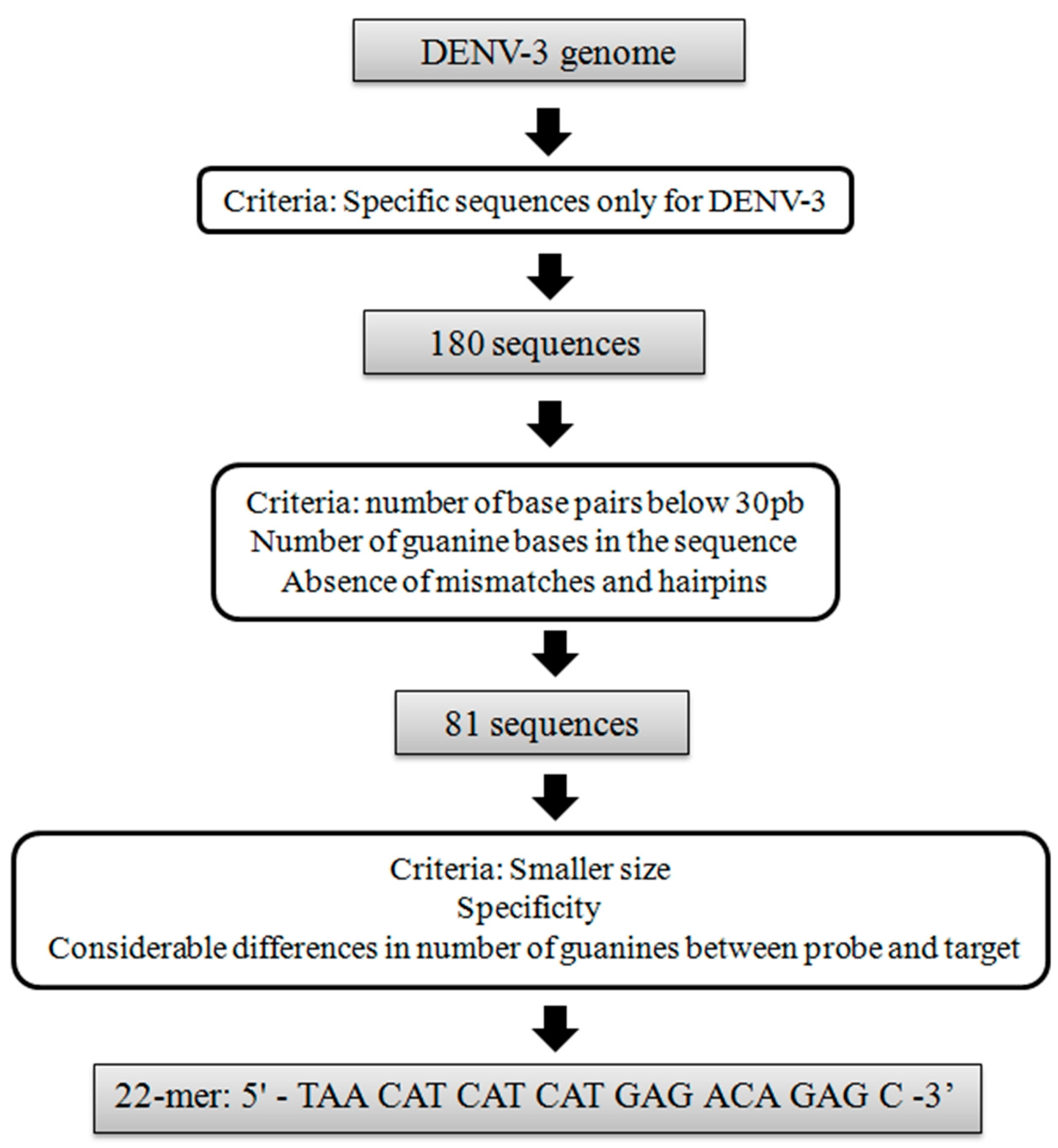 Pathophysiology Of Dengue Fever : Dengue Illness In Children Rose W