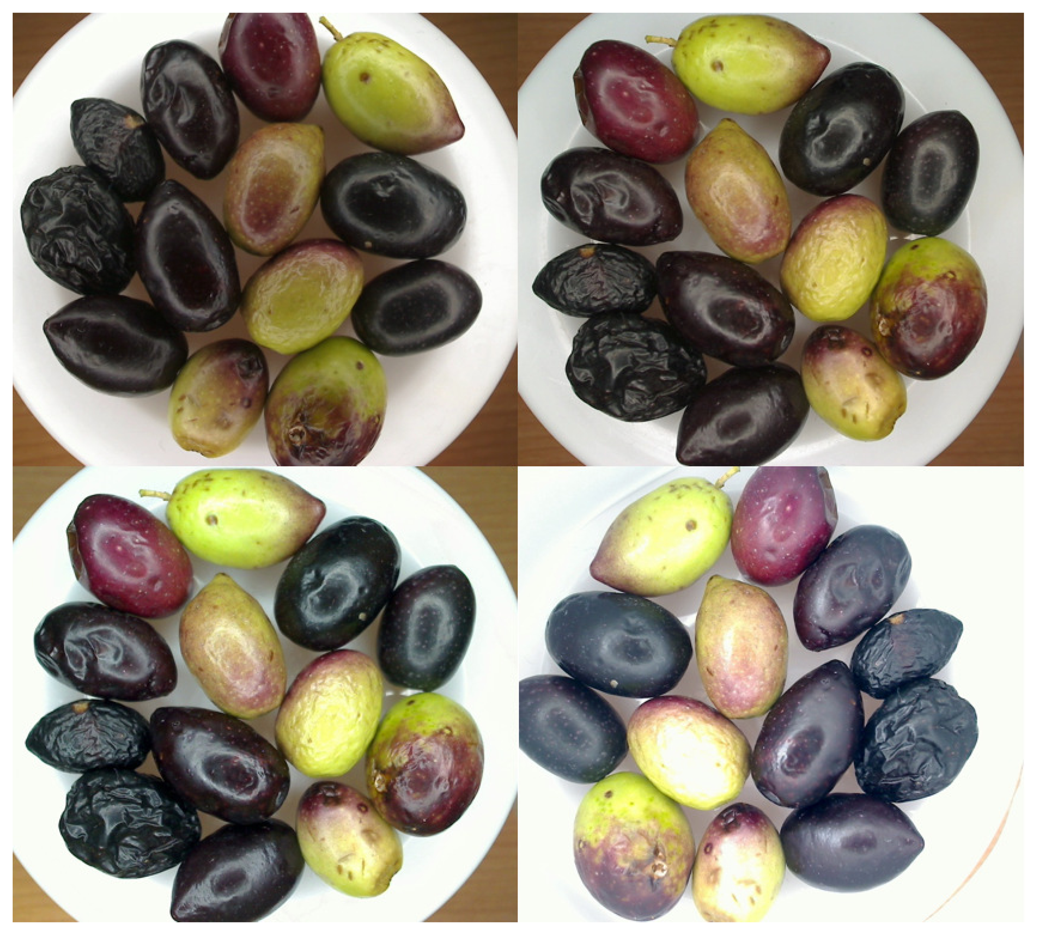 Sensors 15 15738f2 1024