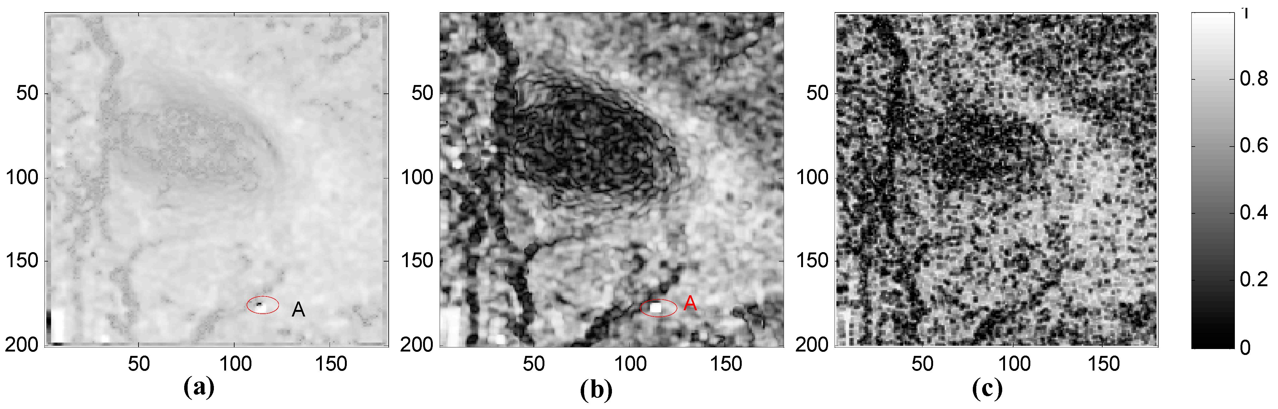 Sensors 15 16336 g004