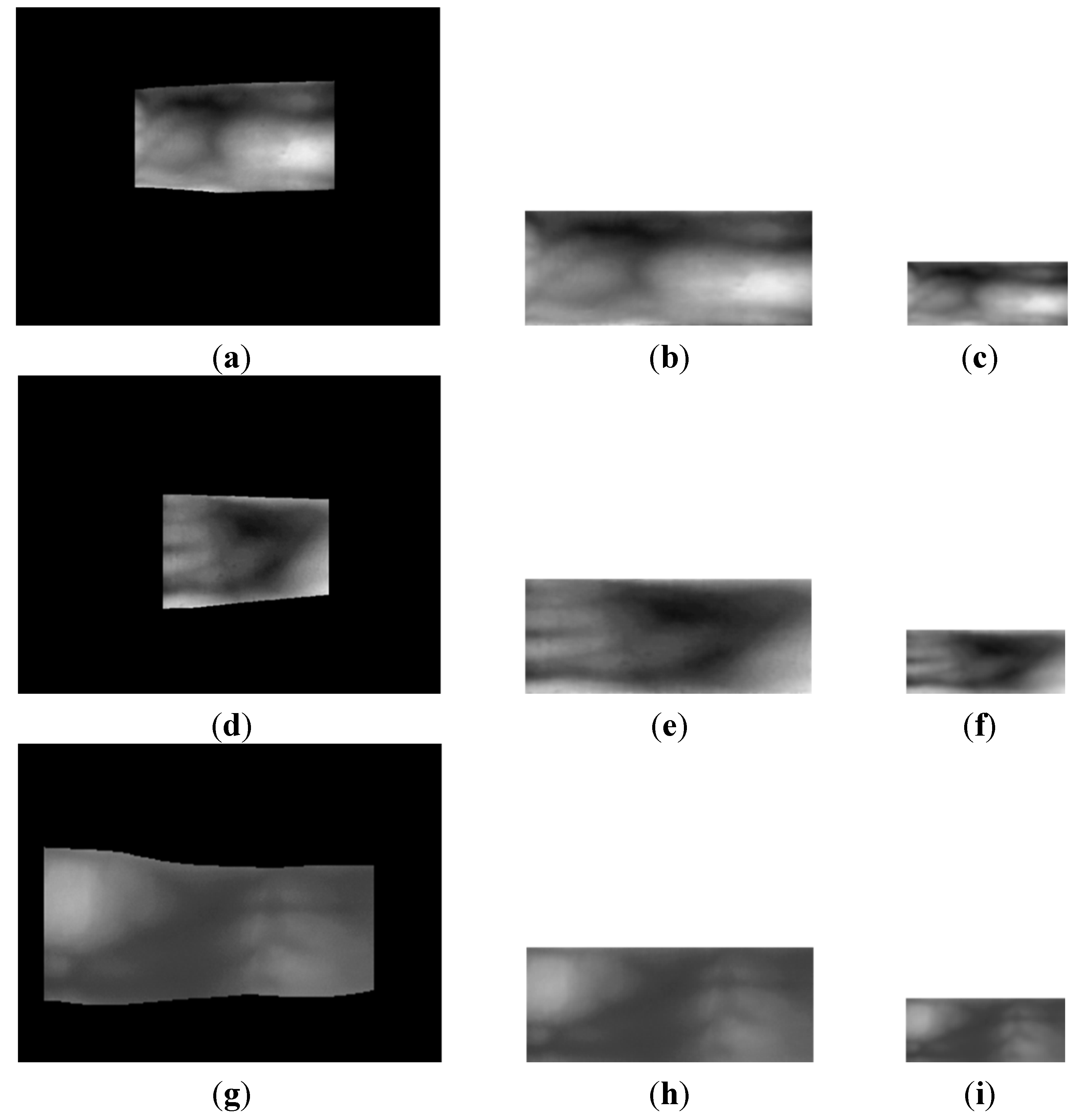 Sensors 15 16866 g004 1024