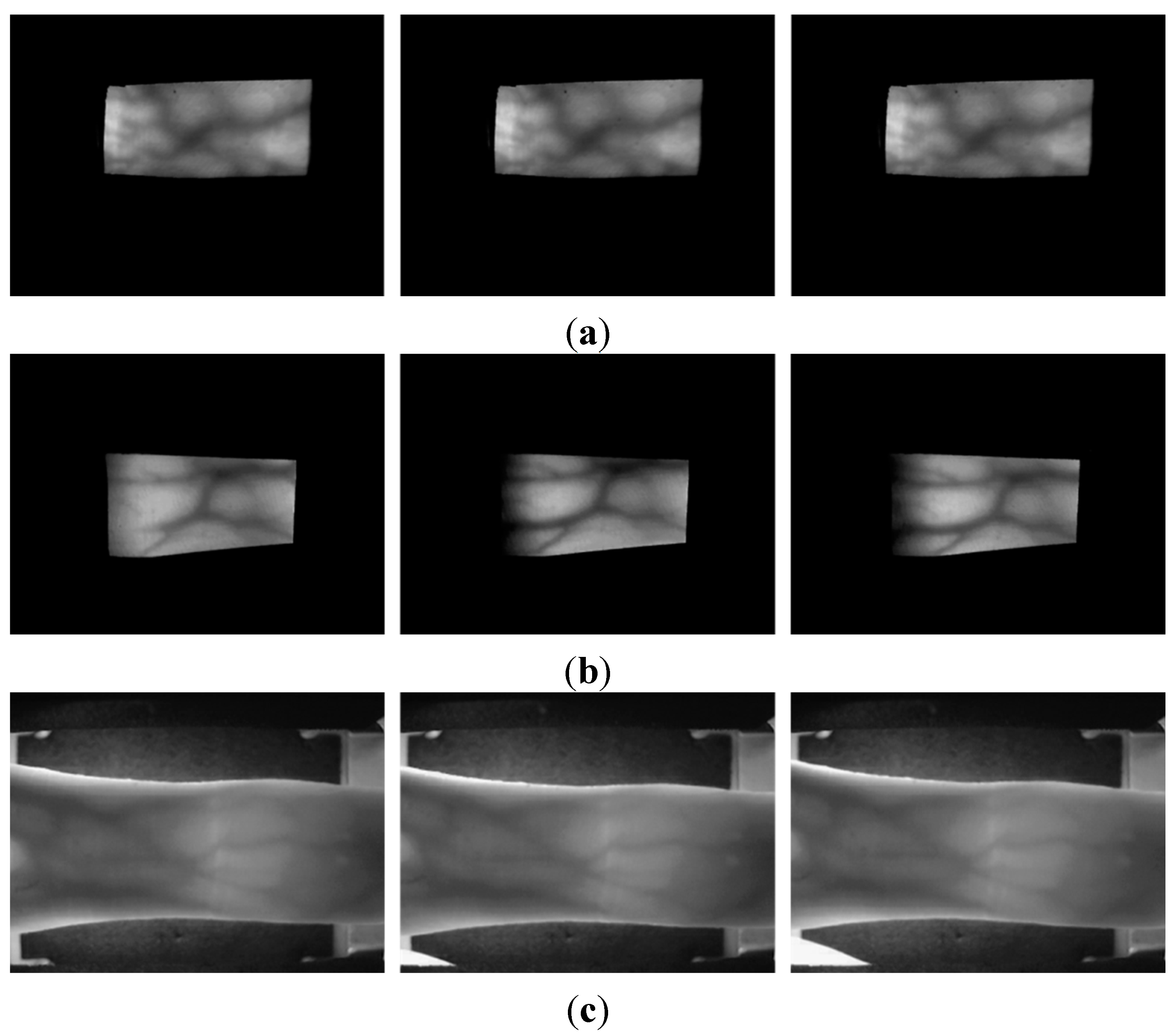 Sensors 15 16866 g009 1024