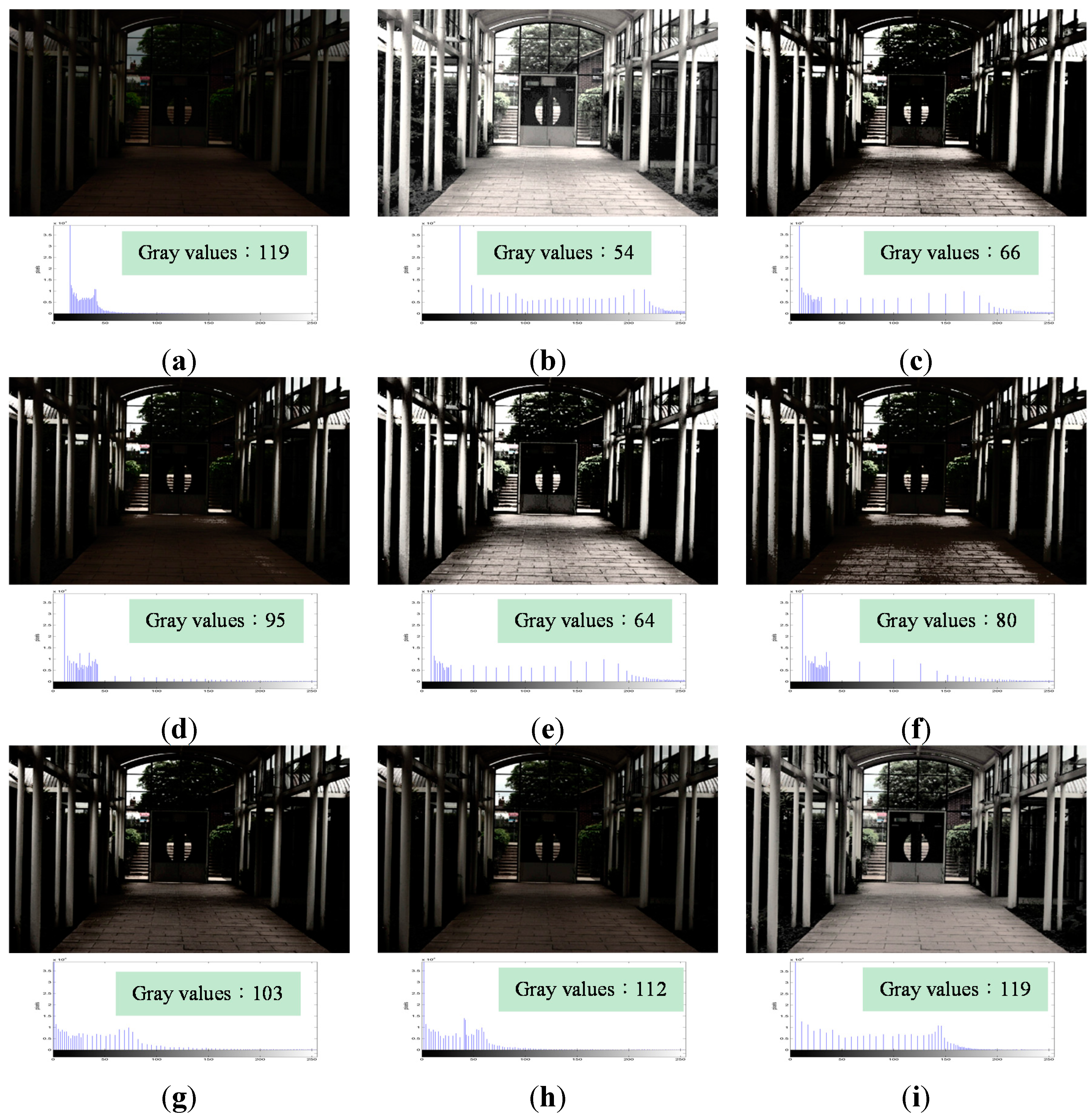 Sensors 15 16981 g005 1024