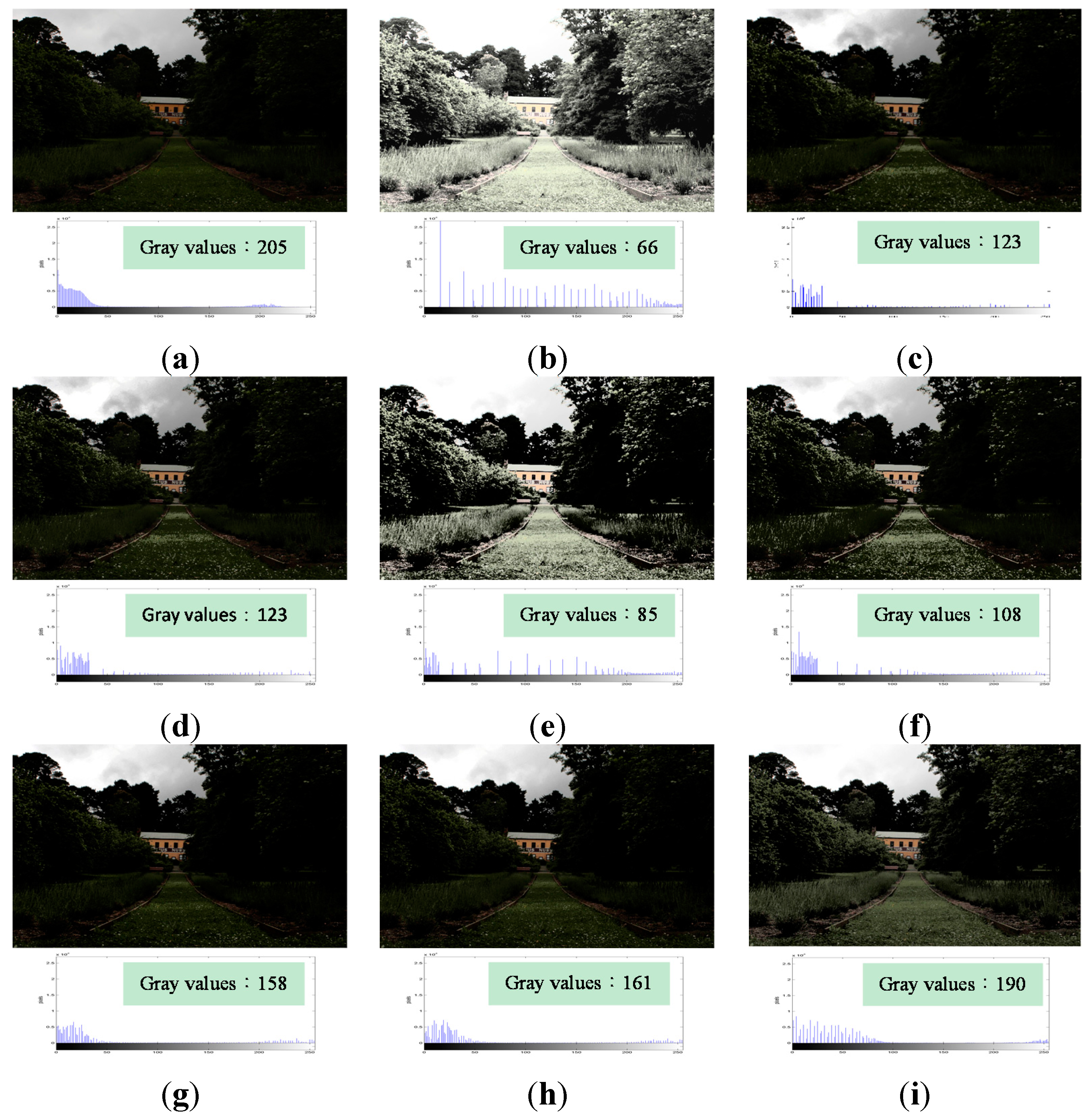 Sensors 15 16981 g006 1024