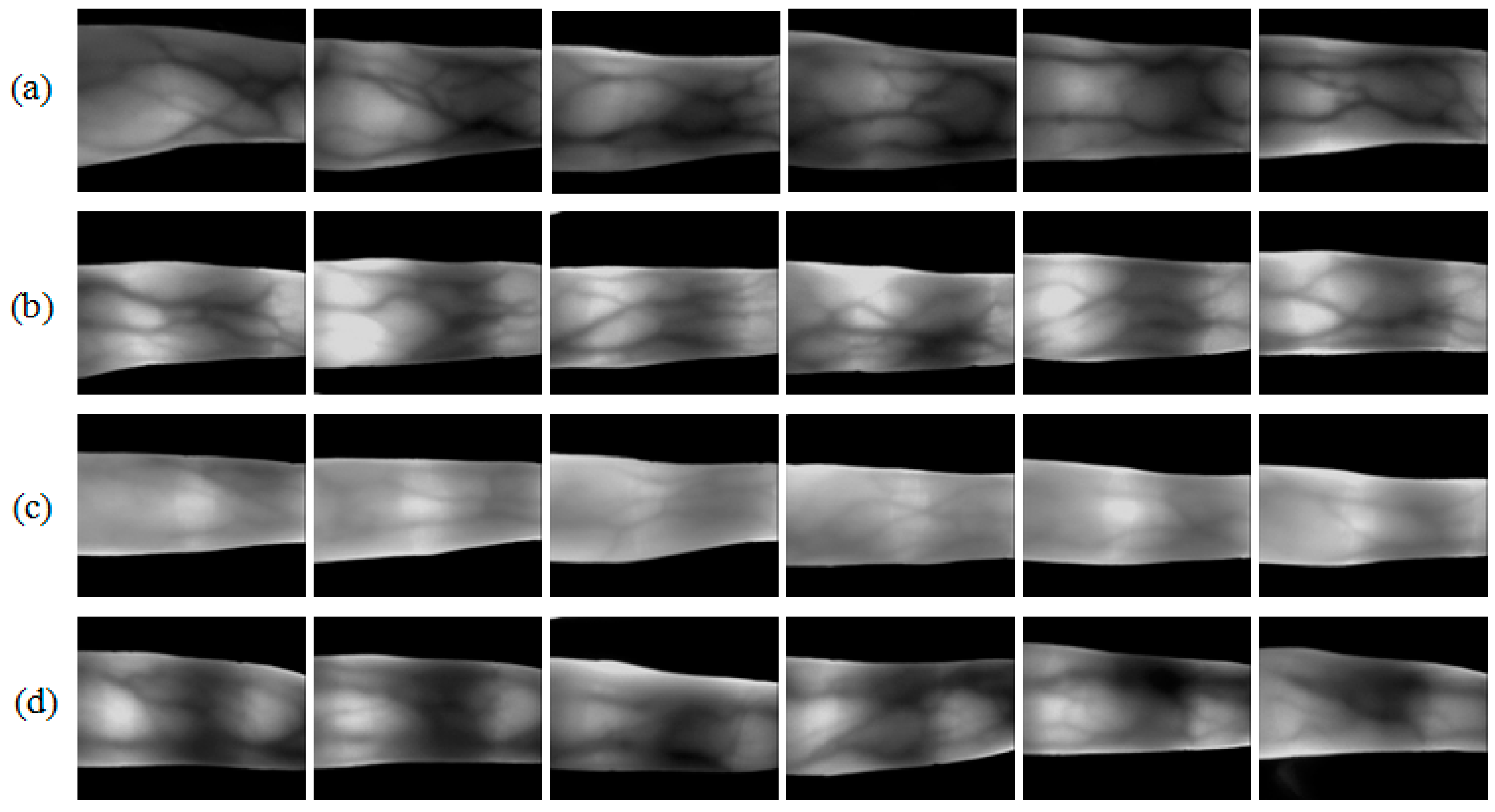 Sensors 15 17089 g002 1024