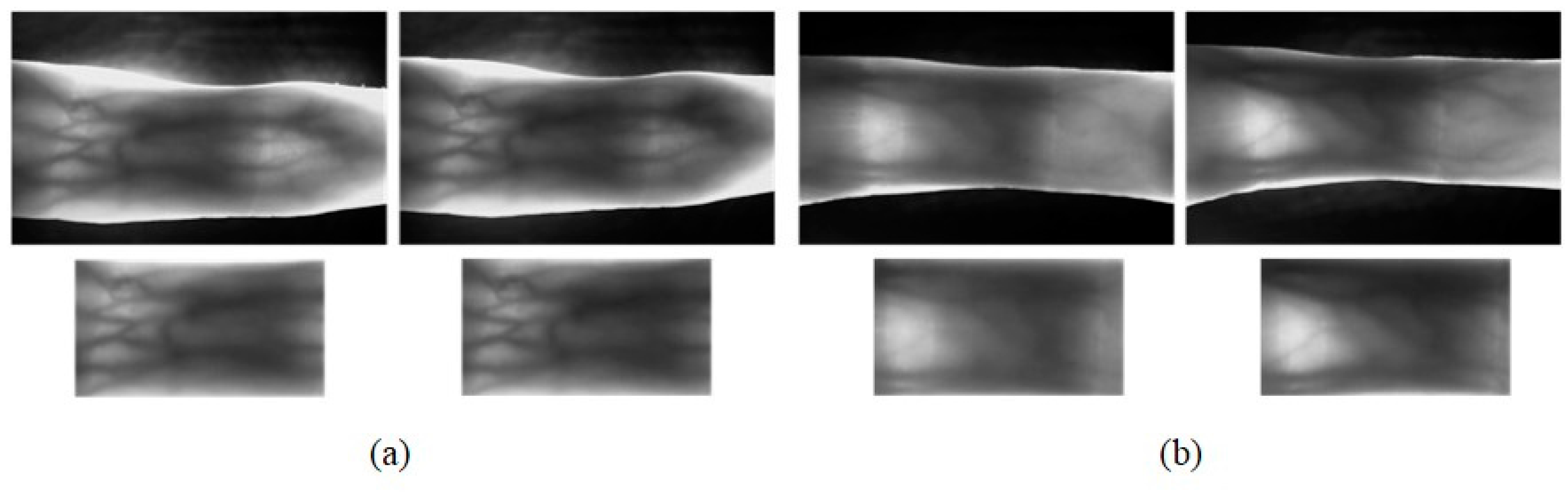 Sensors 15 17089 g008 1024