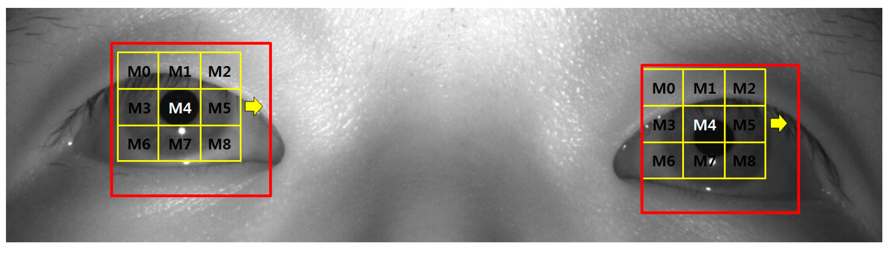 Sensors 15 17507 g009 1024