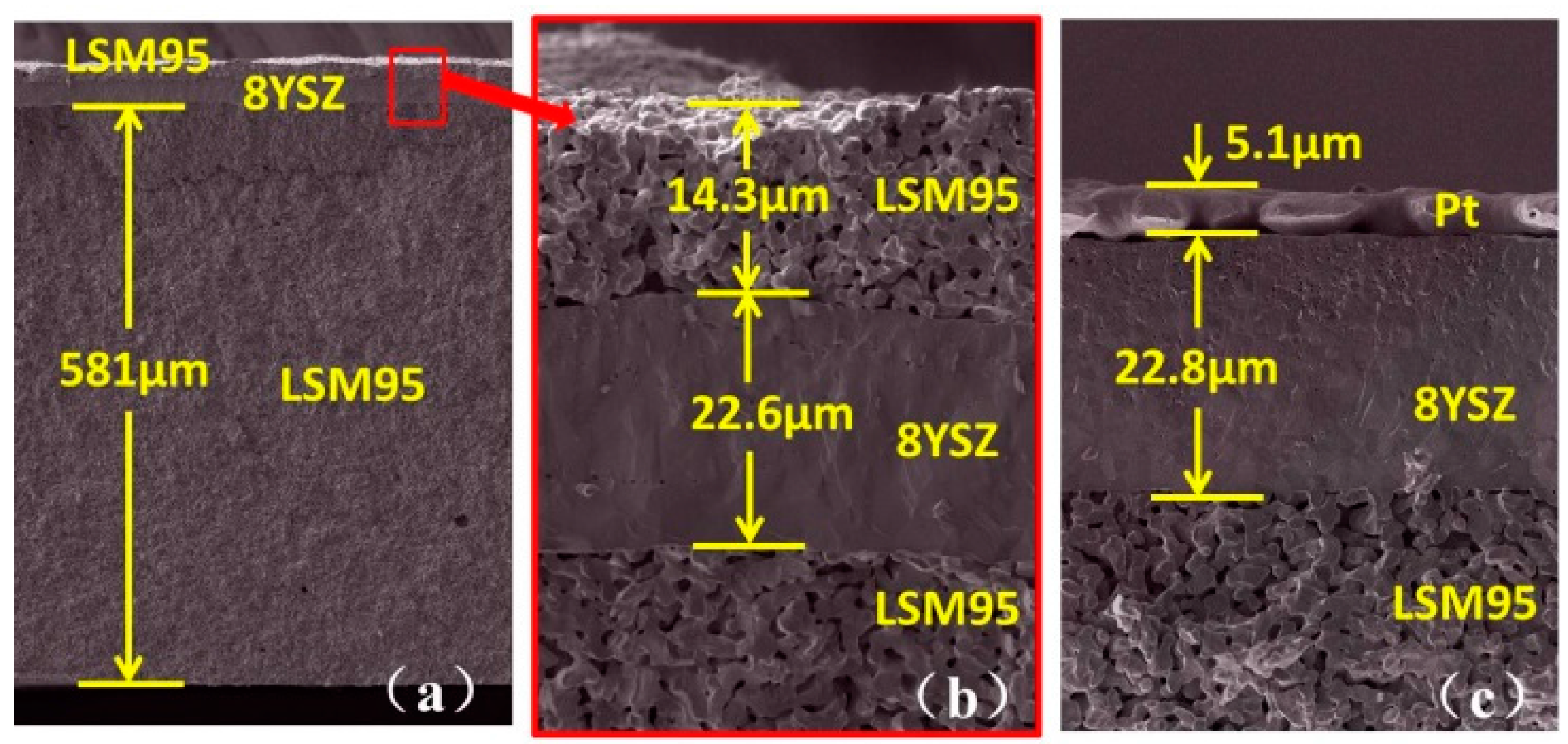 Sensors 15 17558 g008