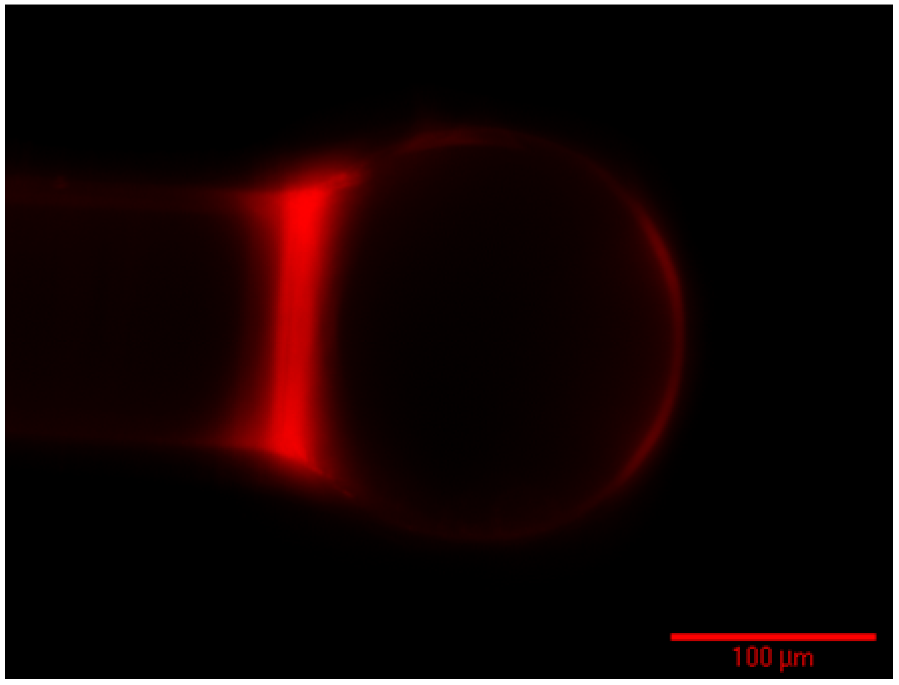 Sensors 15 18040 g011