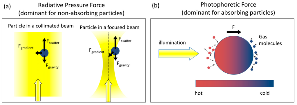 Raman Spectroscopy of Optically Trapped Single Biological