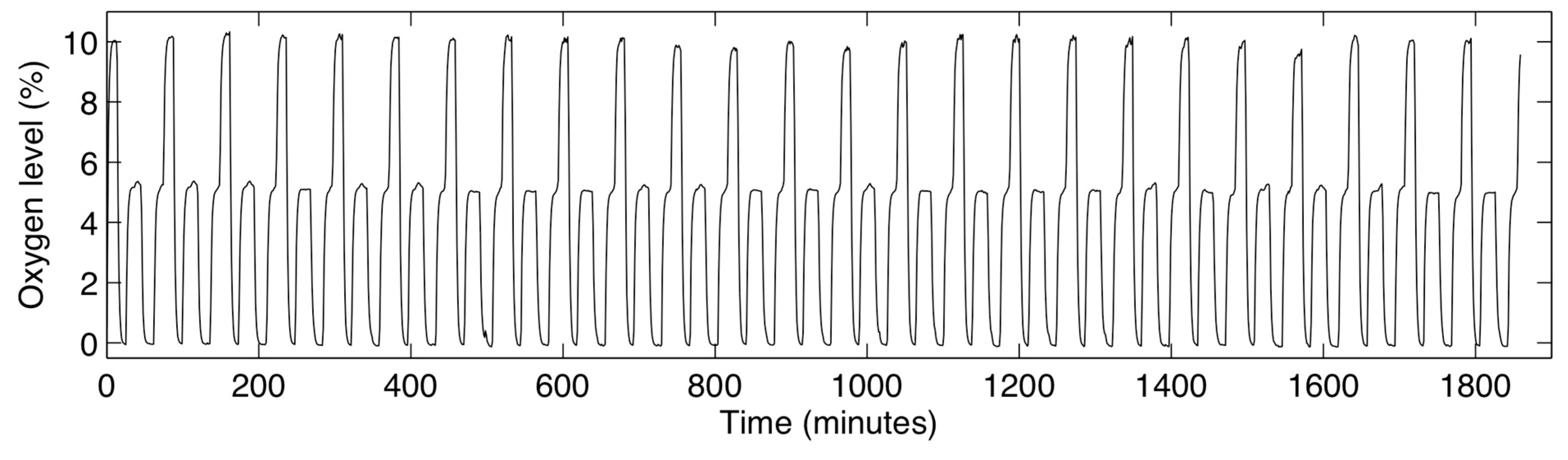 Sensors 15 20030 g008