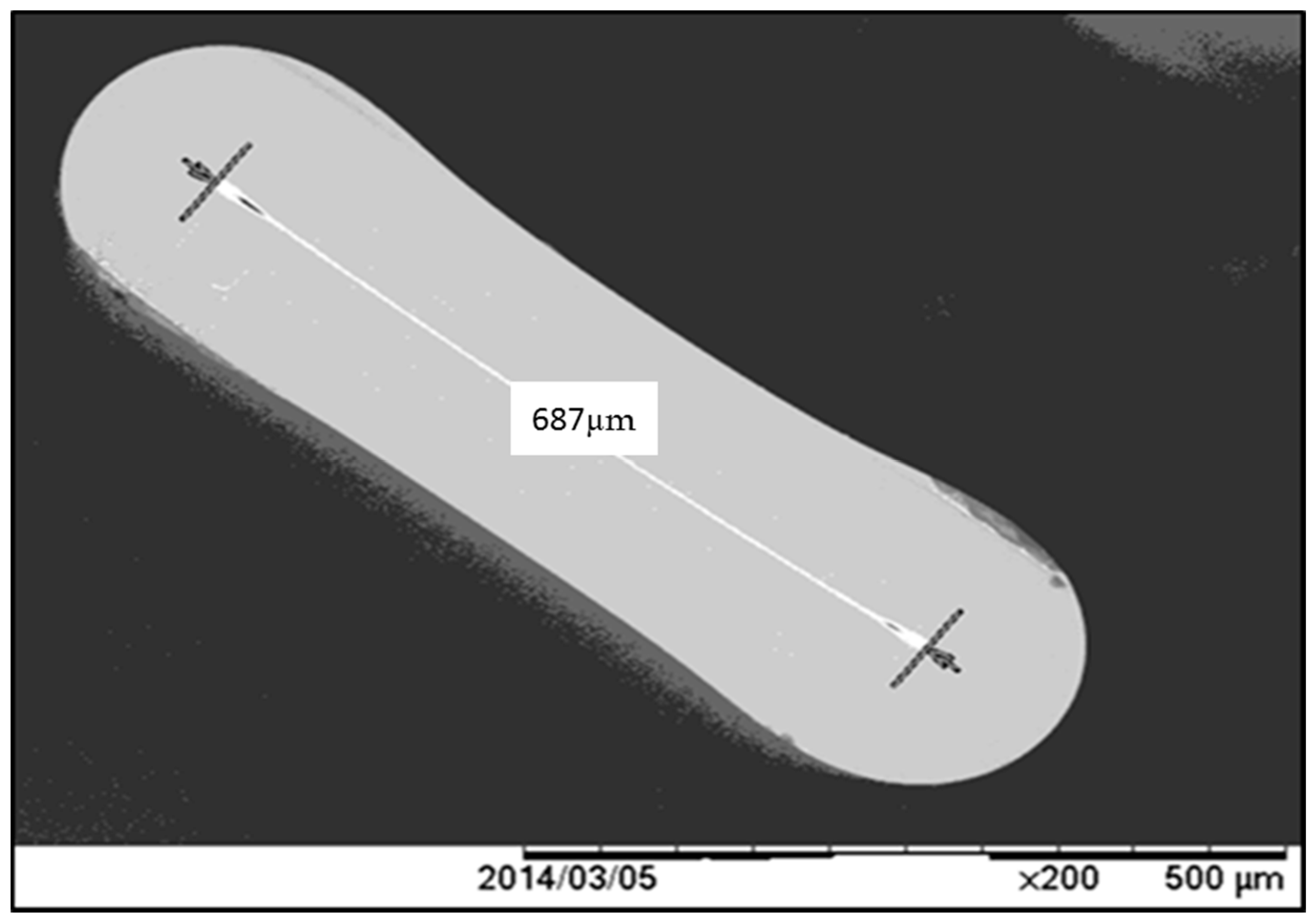 Sensors 15 20557 g001