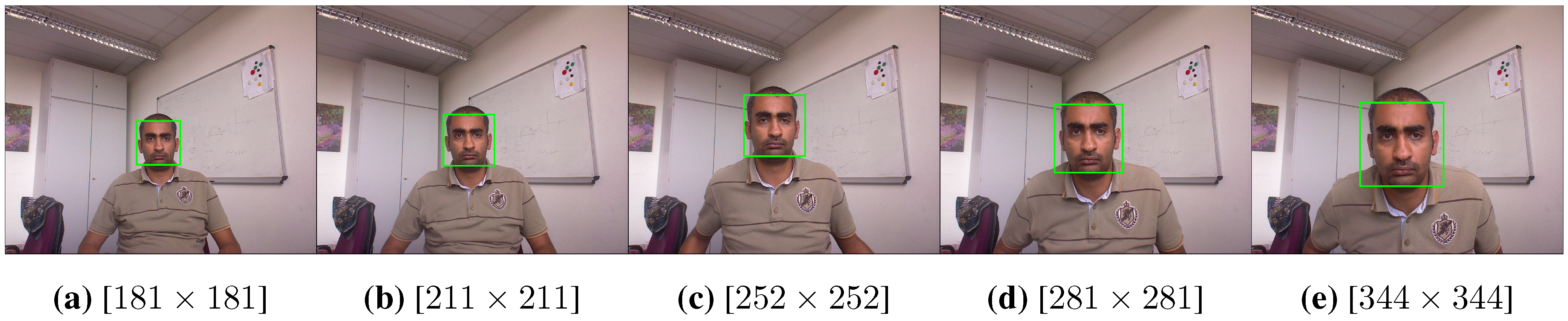 Sensors 15 20945 g004 1024