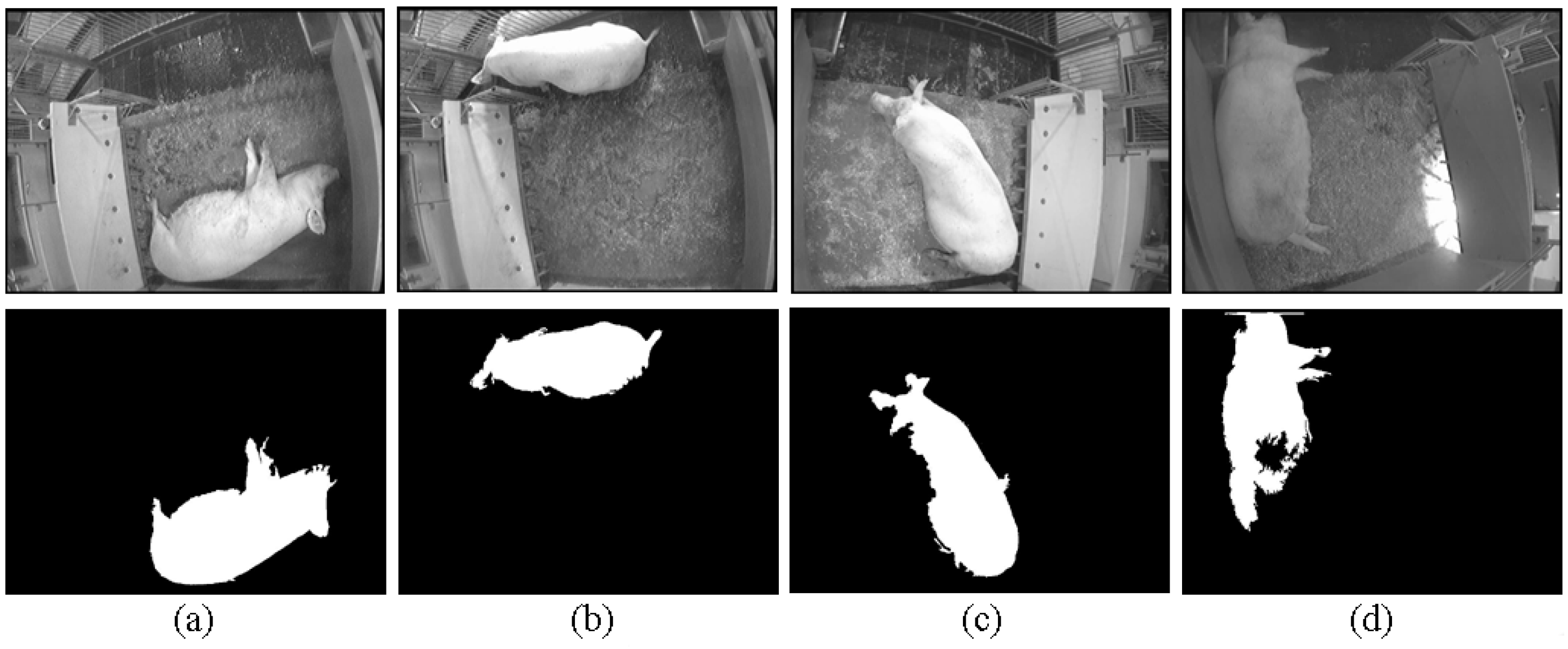 Sensors 15 21407 g007