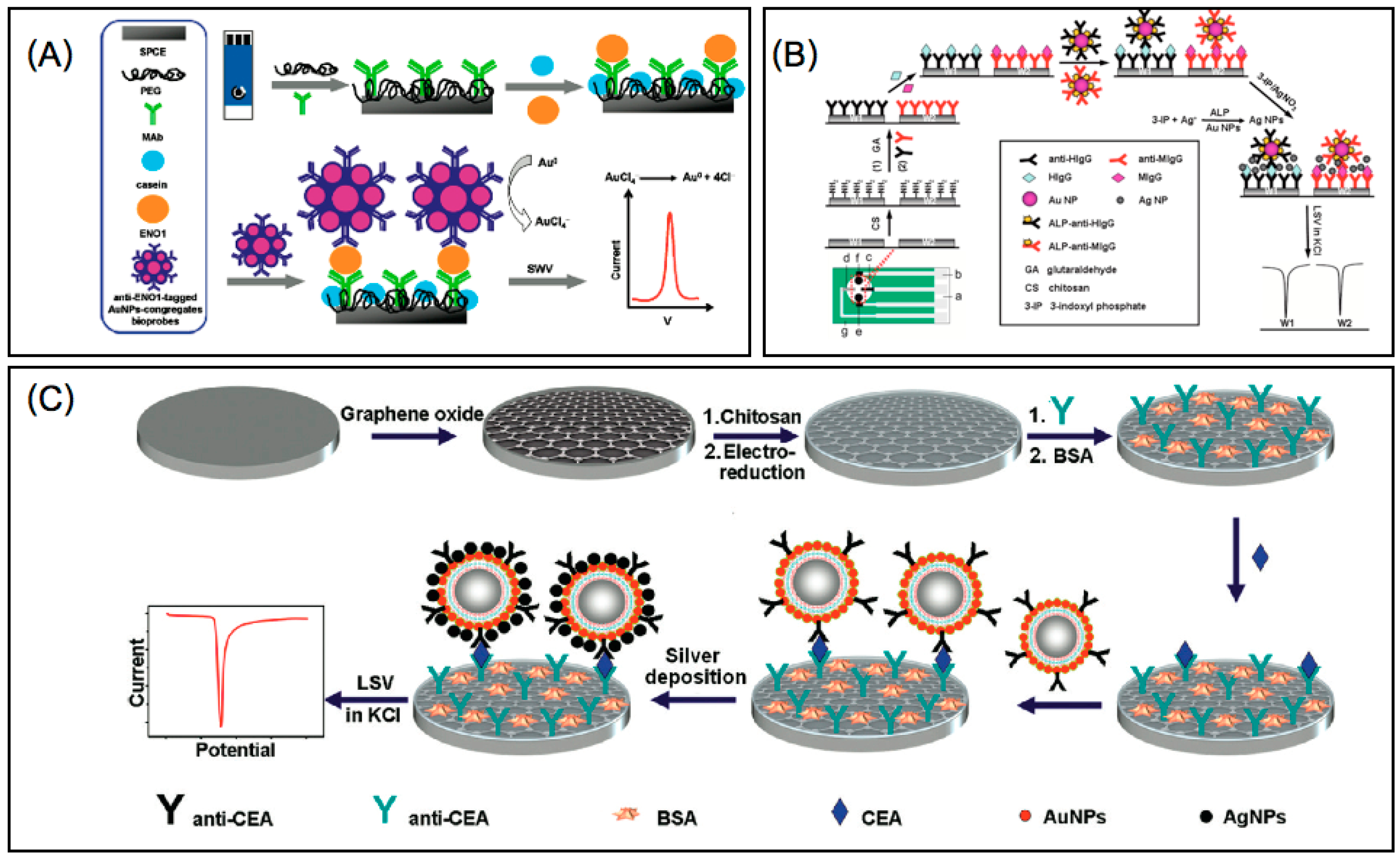 Biomedical Probes Based on Inorganic Nanoparticles for