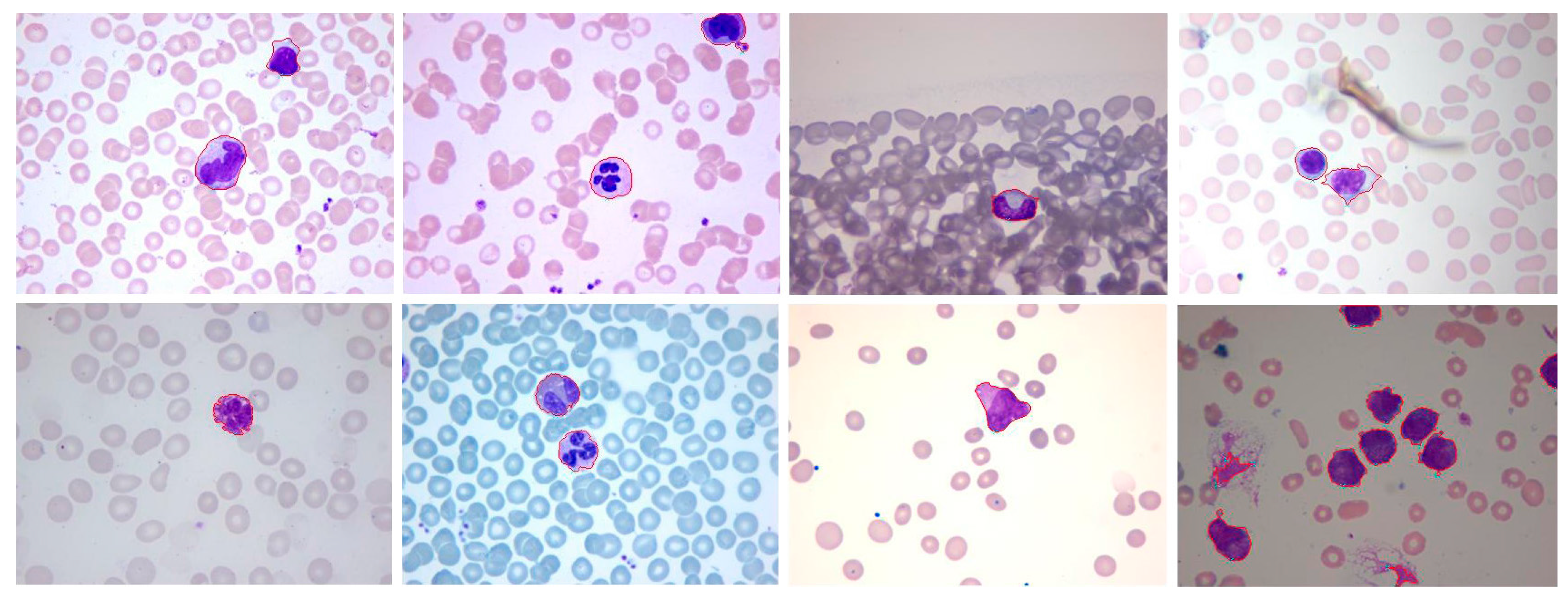 Sensors 15 22561 g013