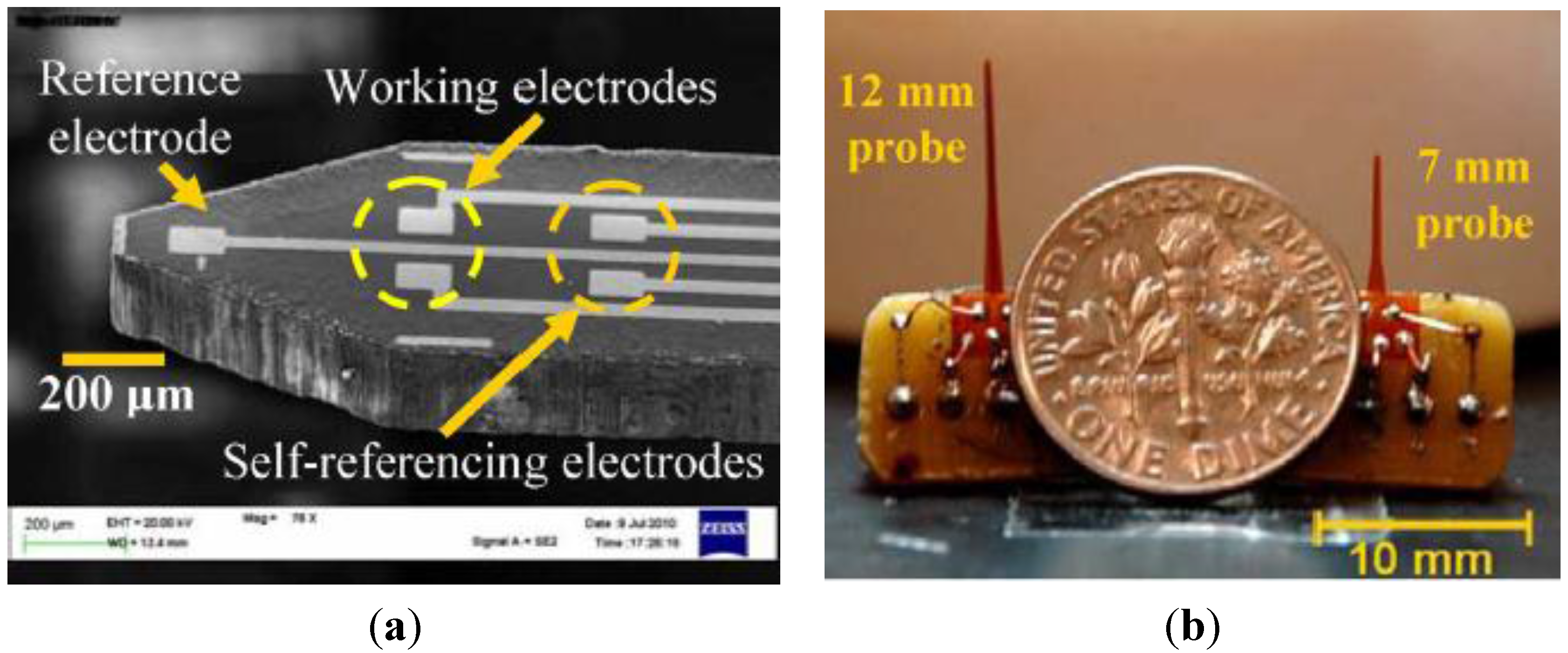 Sensors 15 24553 g001