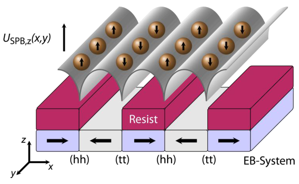 y A Major Role of DNA Polymerase δ in Replication of Both the