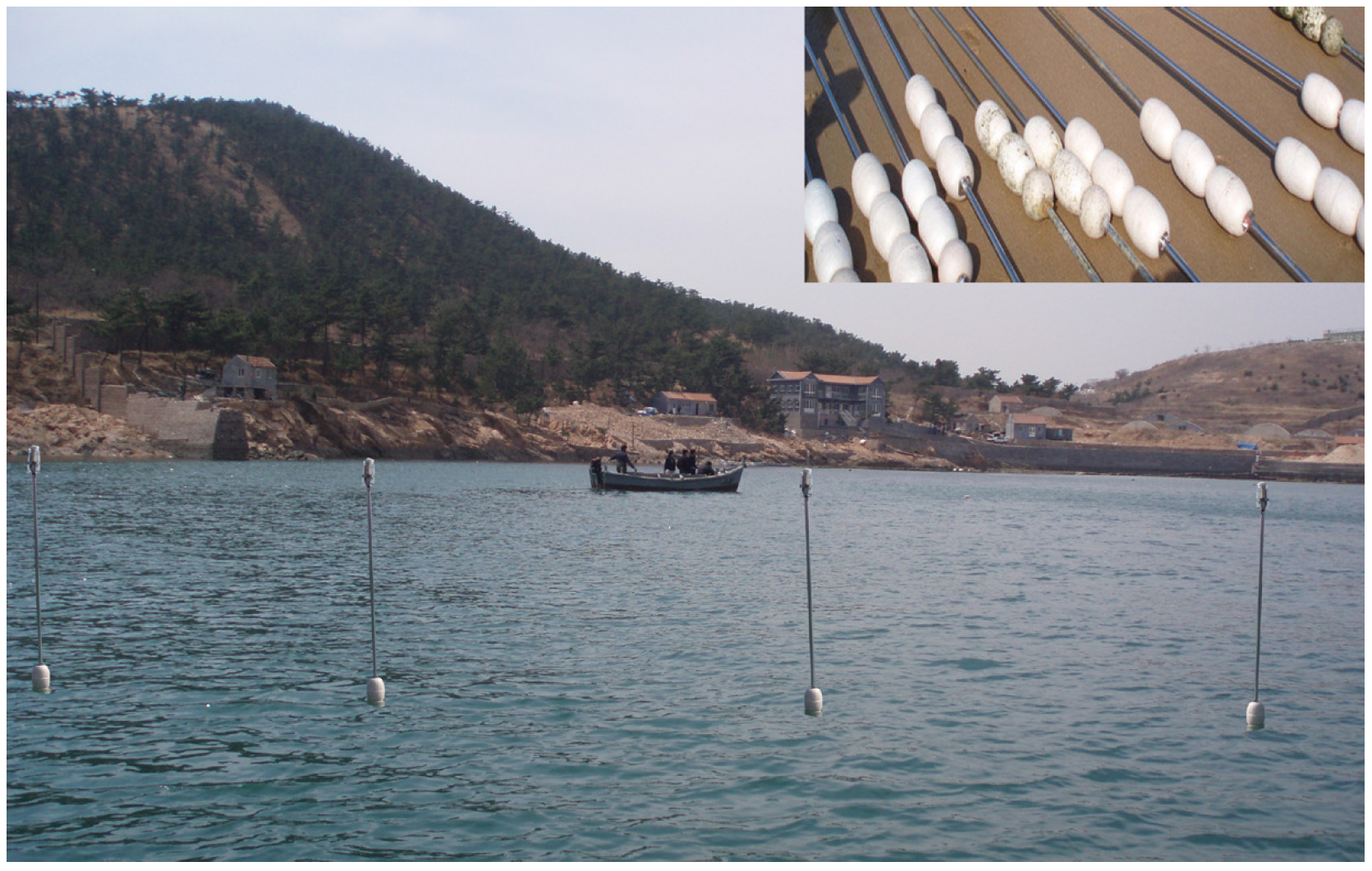 Sensors 15 29702 g004 1024