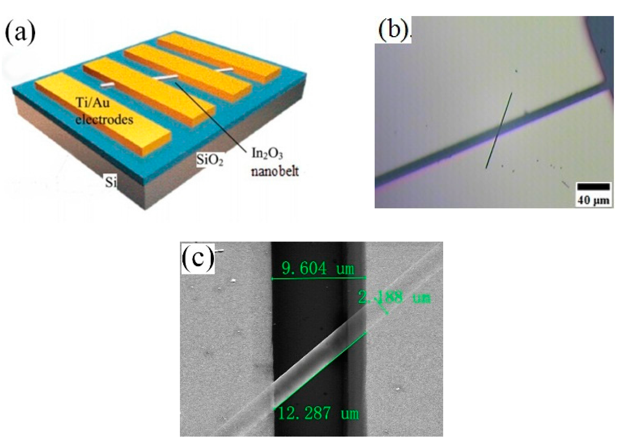 A Single Eu-Doped In2O3 Nanobelt Device for Selective H2S