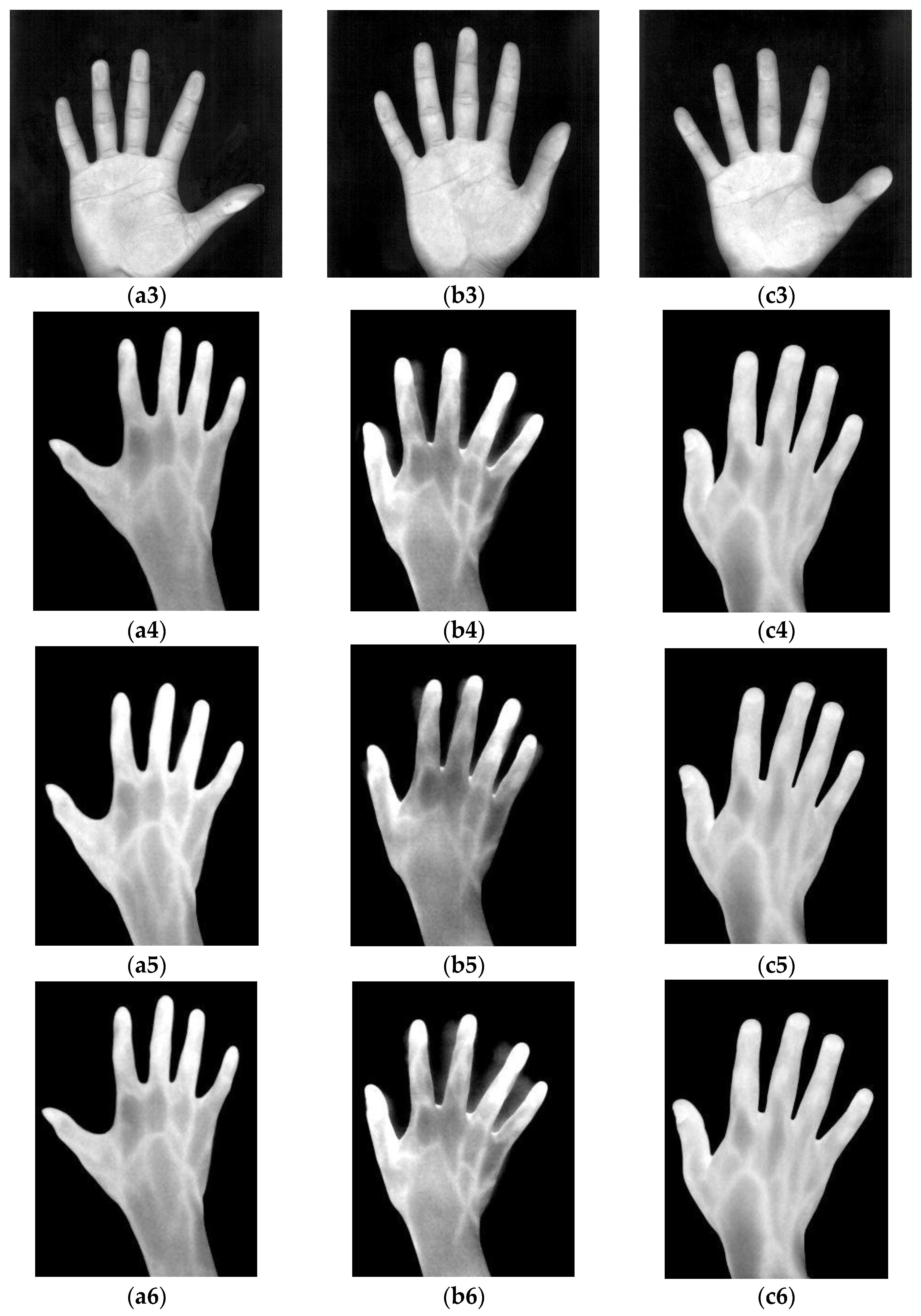Sensors 15 29856 g002b 1024