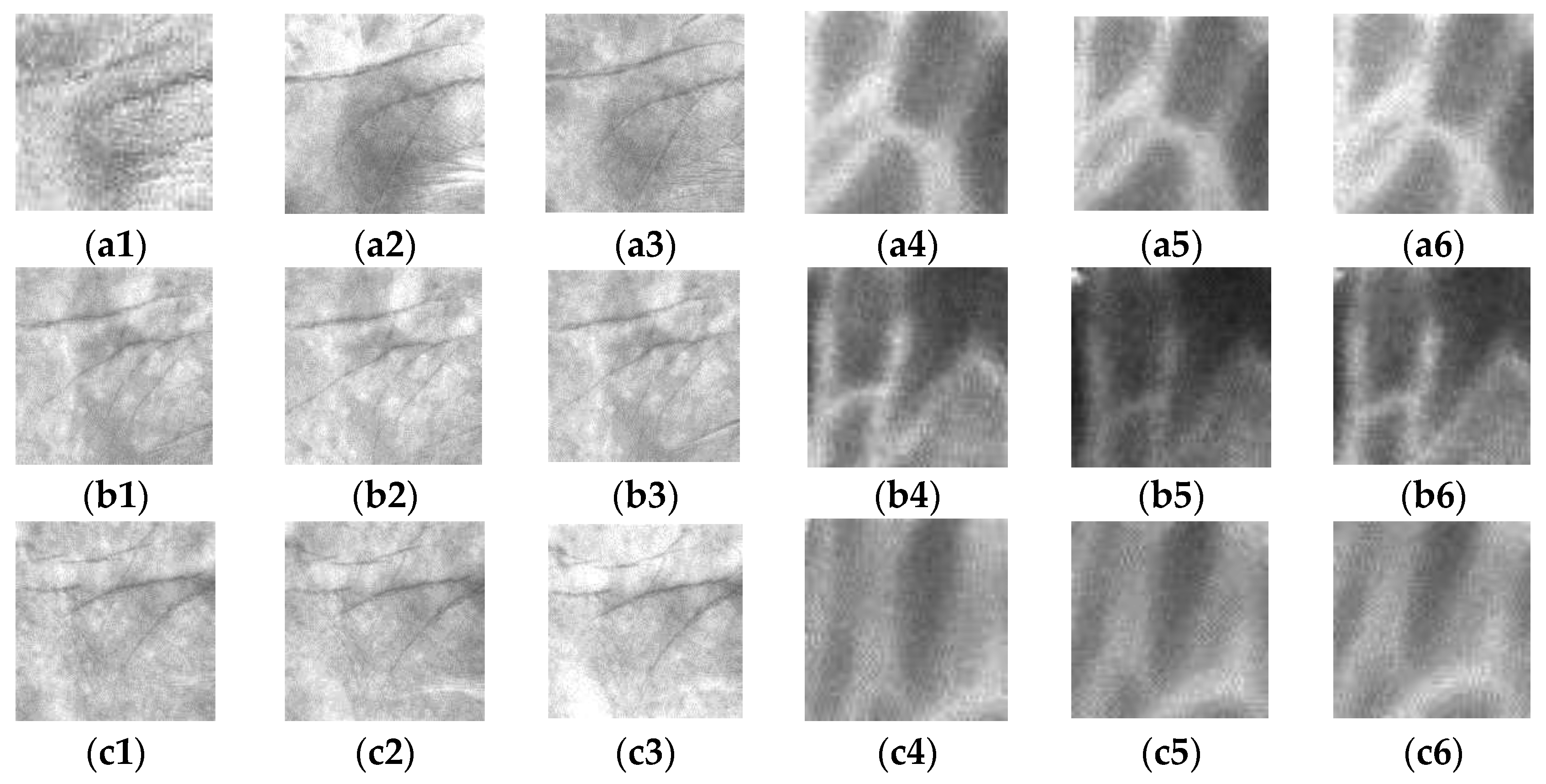 Sensors 15 29856 g006 1024