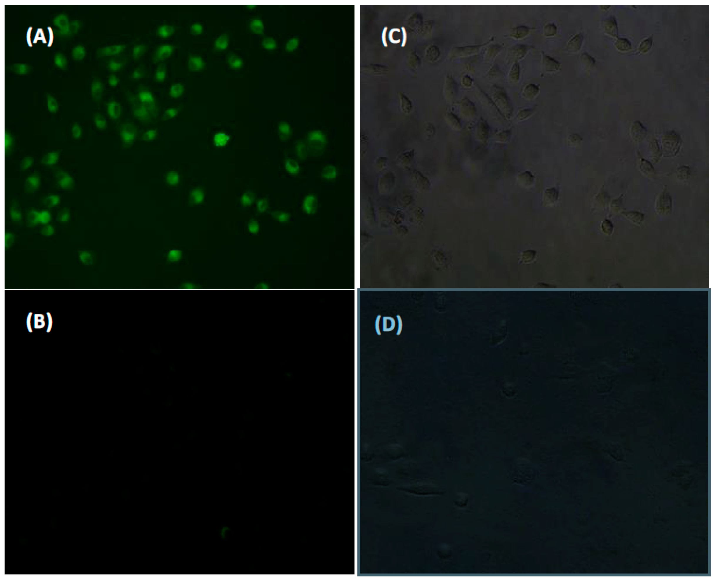 Sensors 16 00079 g010 1024