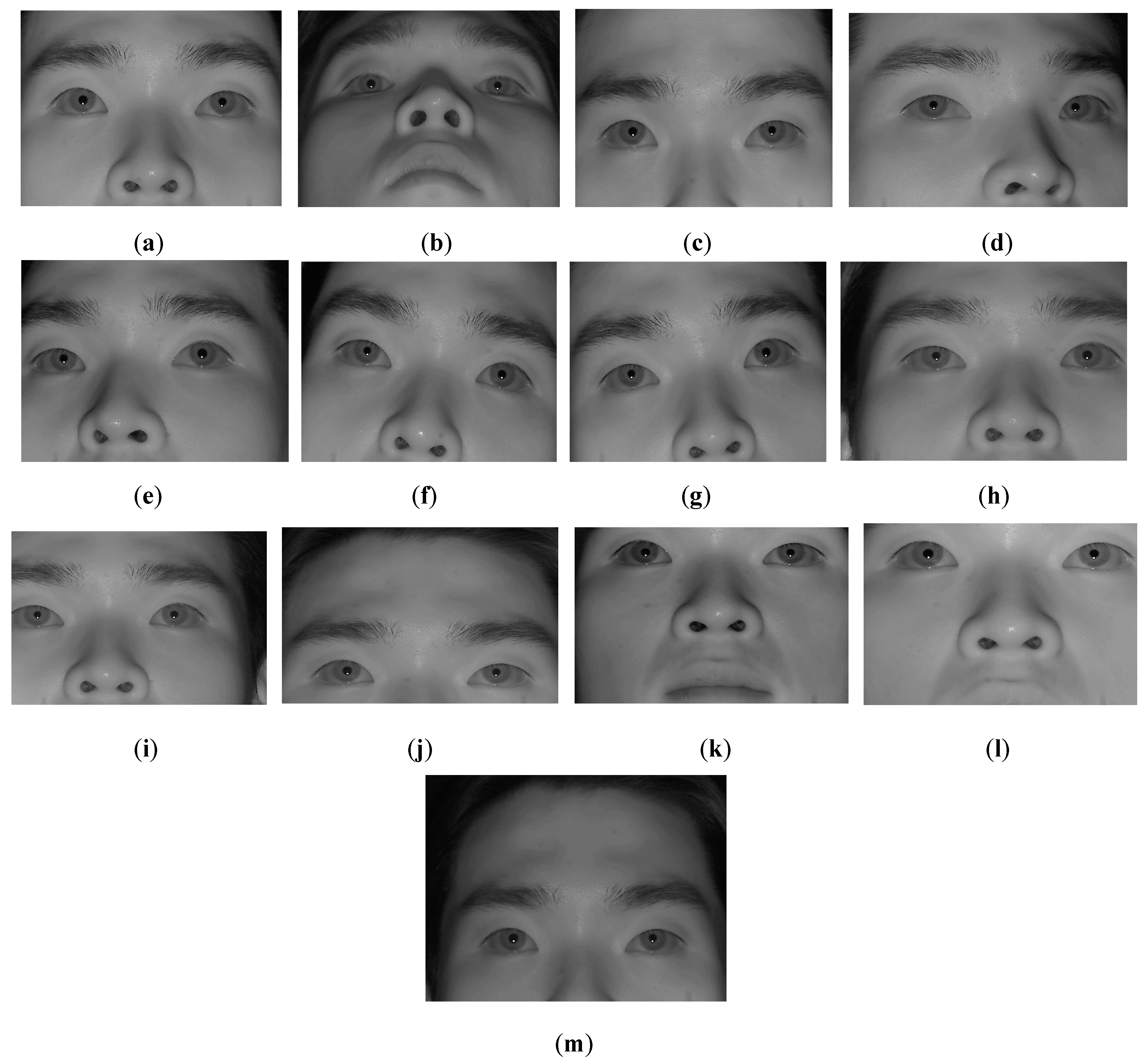 Sensors 16 00110 g010 1024