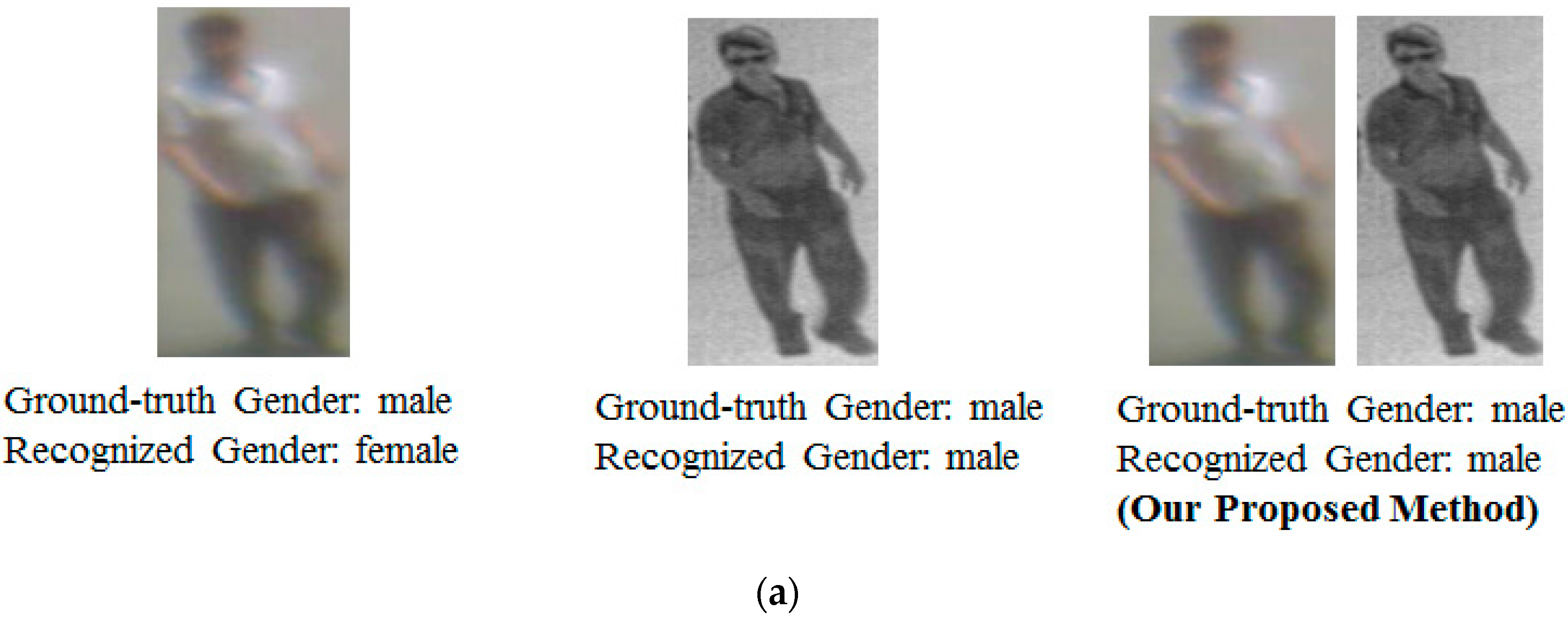 Body-Based Gender Recognition Using Images from Visible and Thermal Cameras