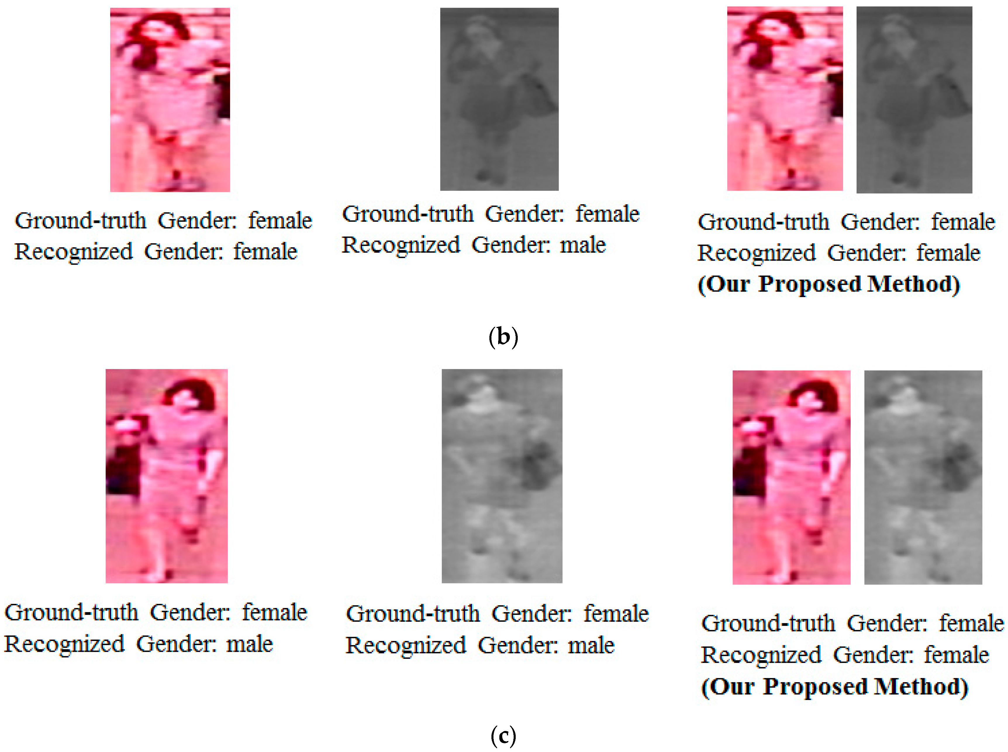 Body-Based Gender Recognition Using Images from Visible and Thermal Cameras