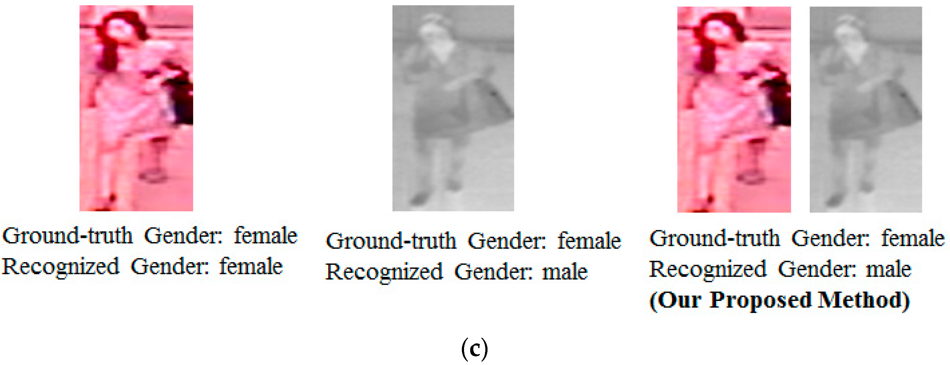 Sensors Free FullText BodyBased Gender Recognition Using Images