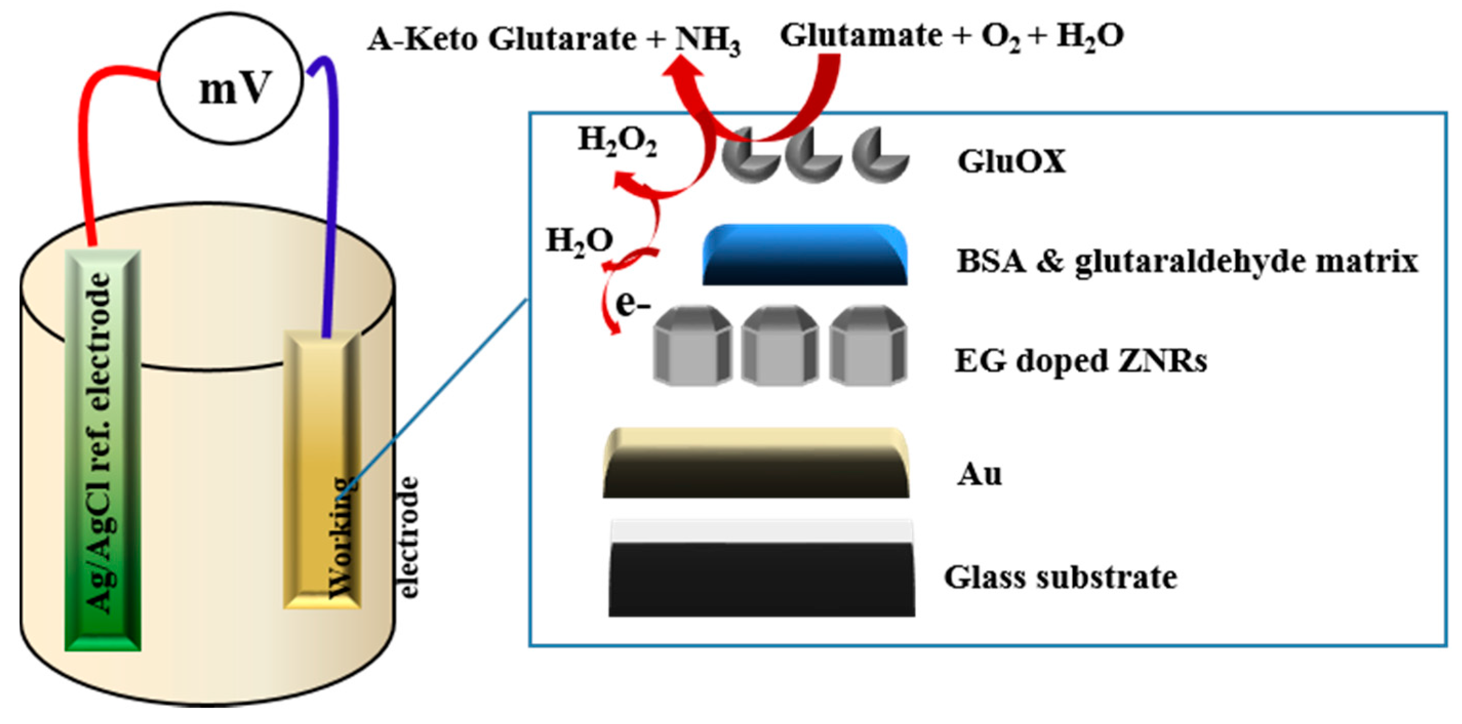 Sensors 16 00222 g012