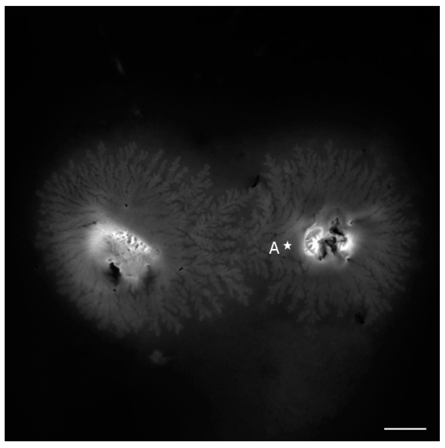 Sensors 16 00258 g004 1024