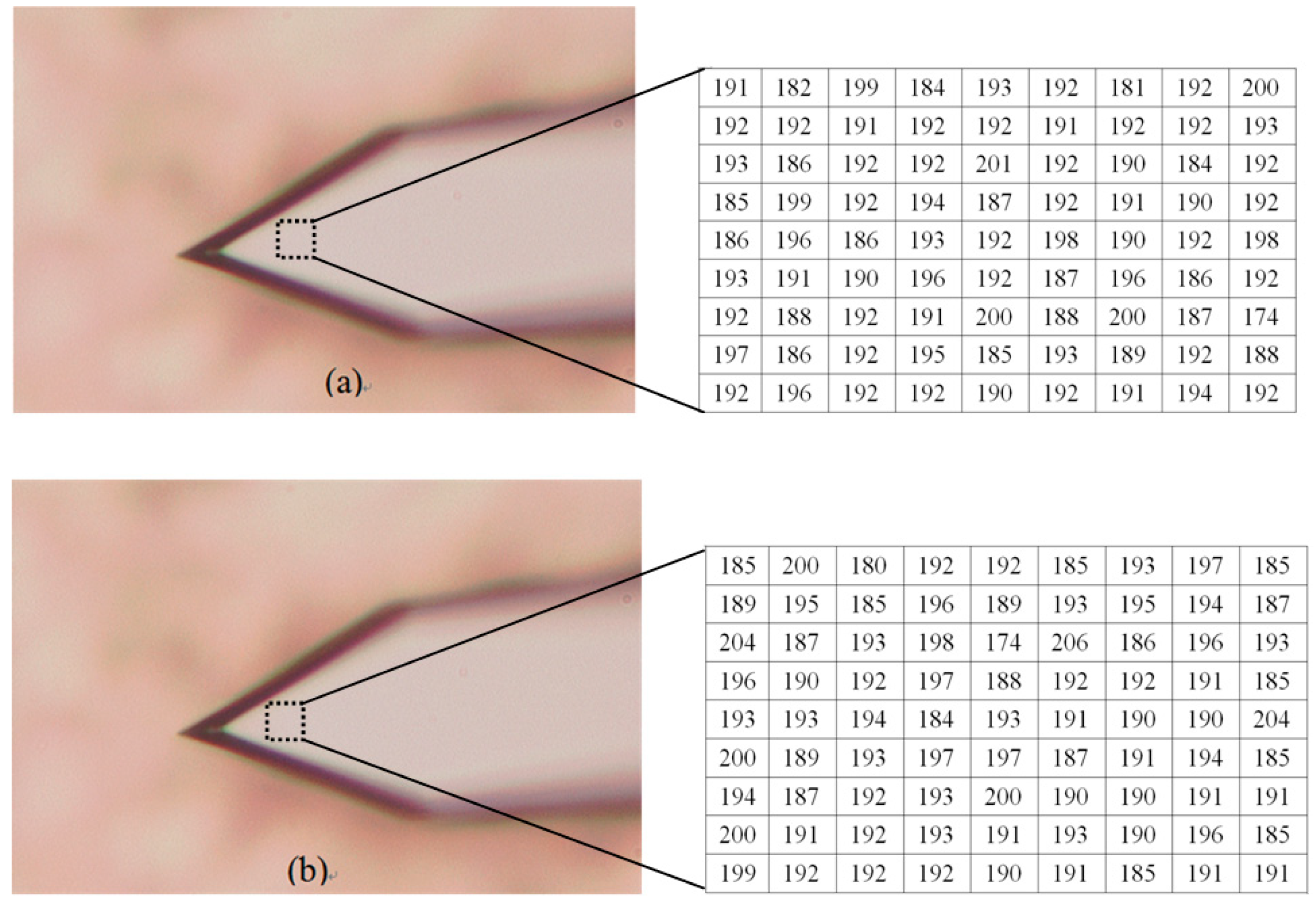 Sensors 16 00302 g011