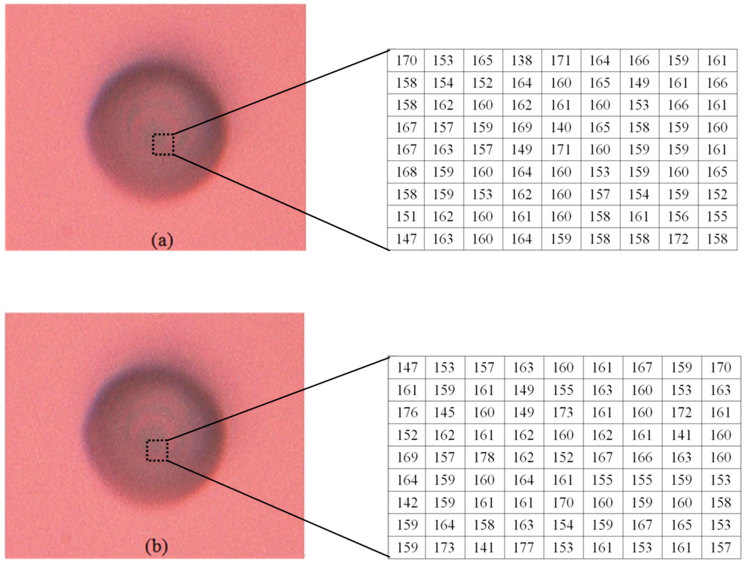 Sensors 16 00302 g016